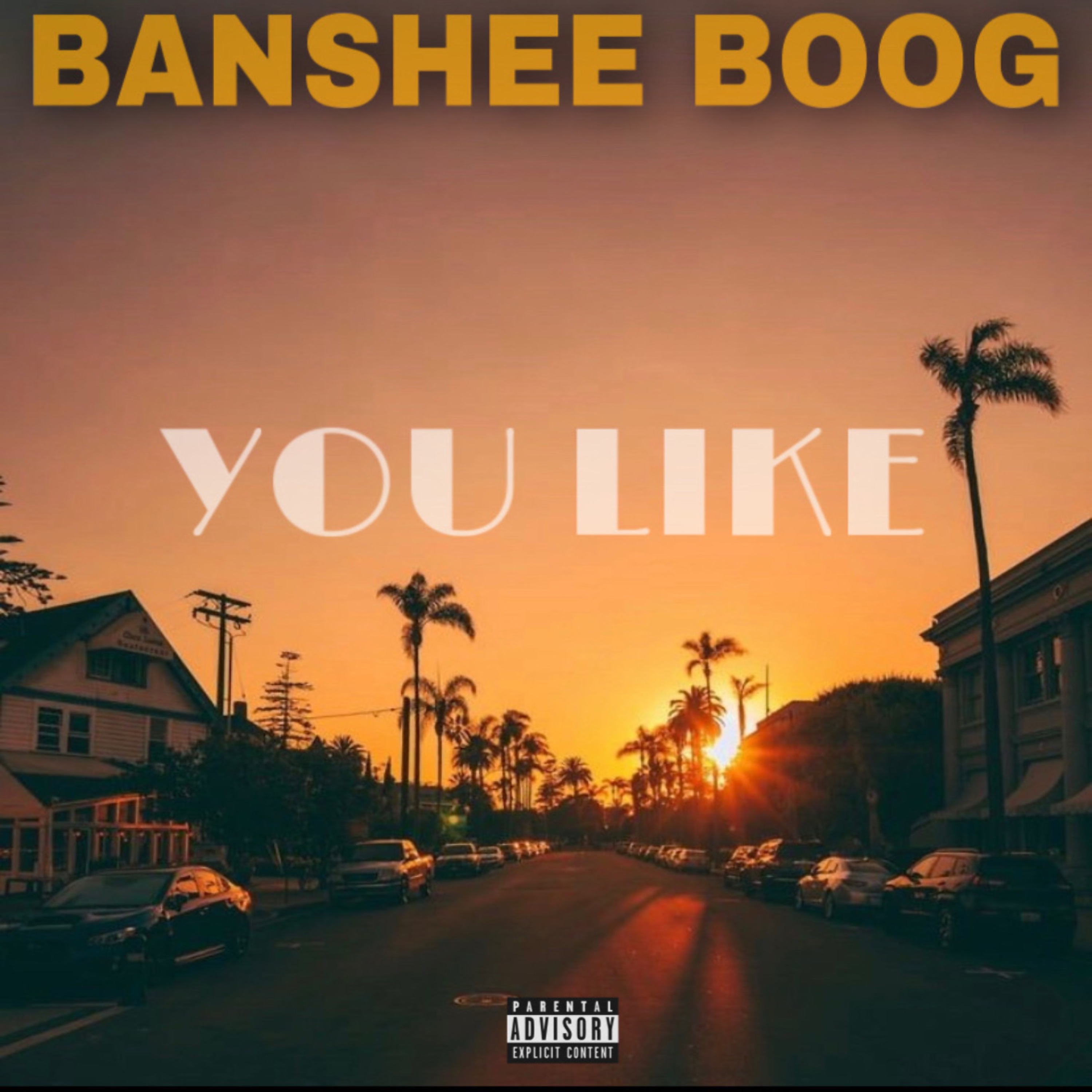 You Like artwork