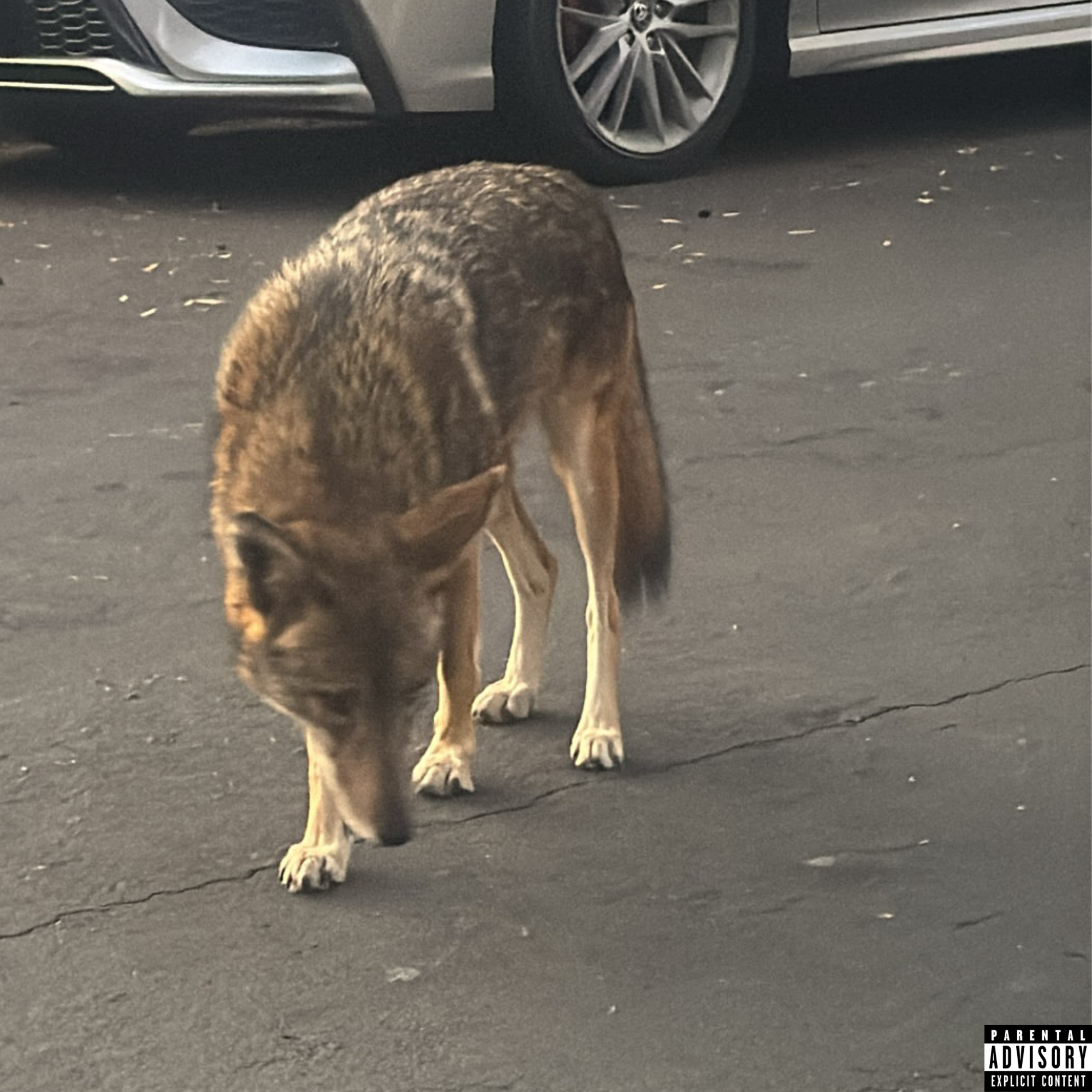i cant seem to let you go artwork
