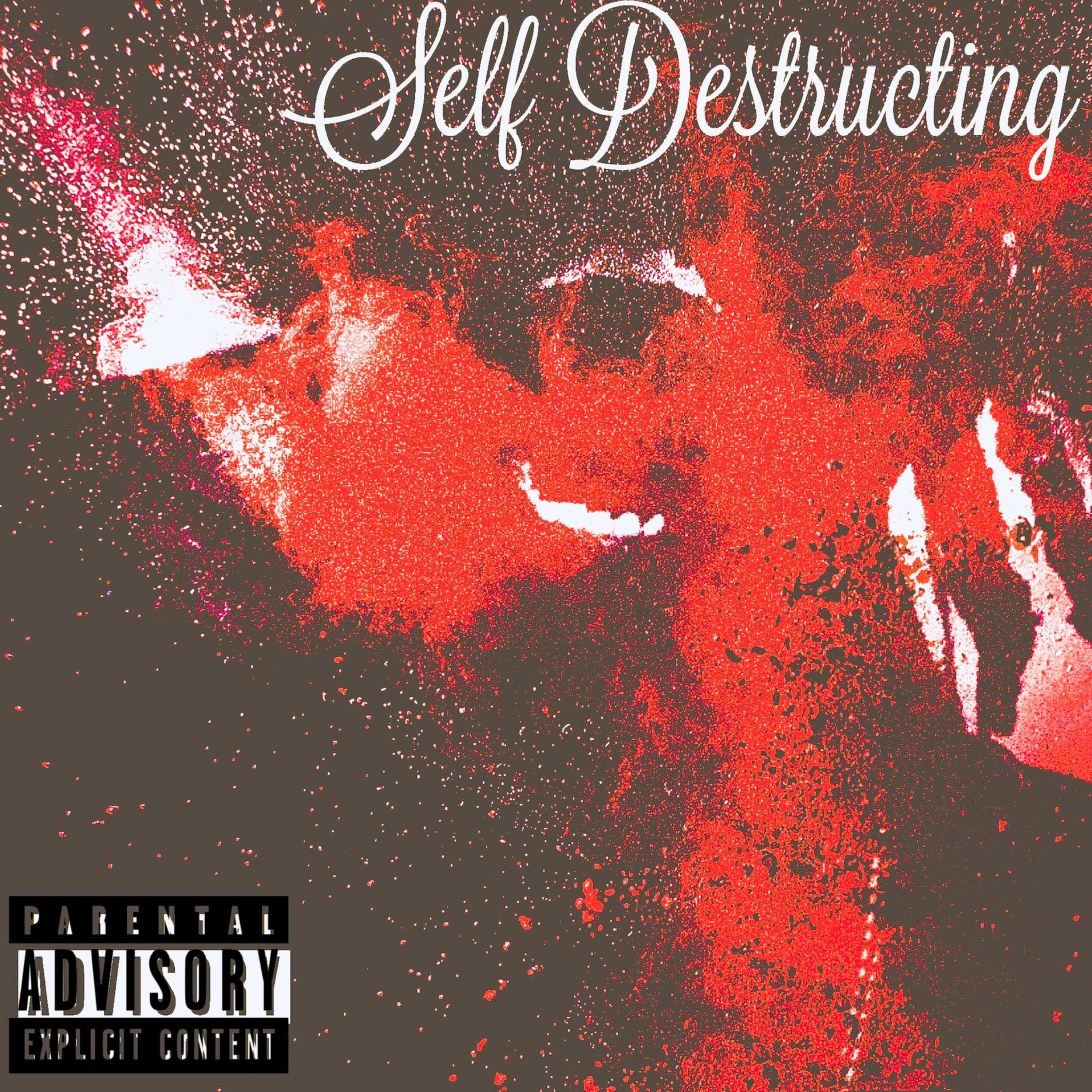 SELF DESTRUCTING artwork