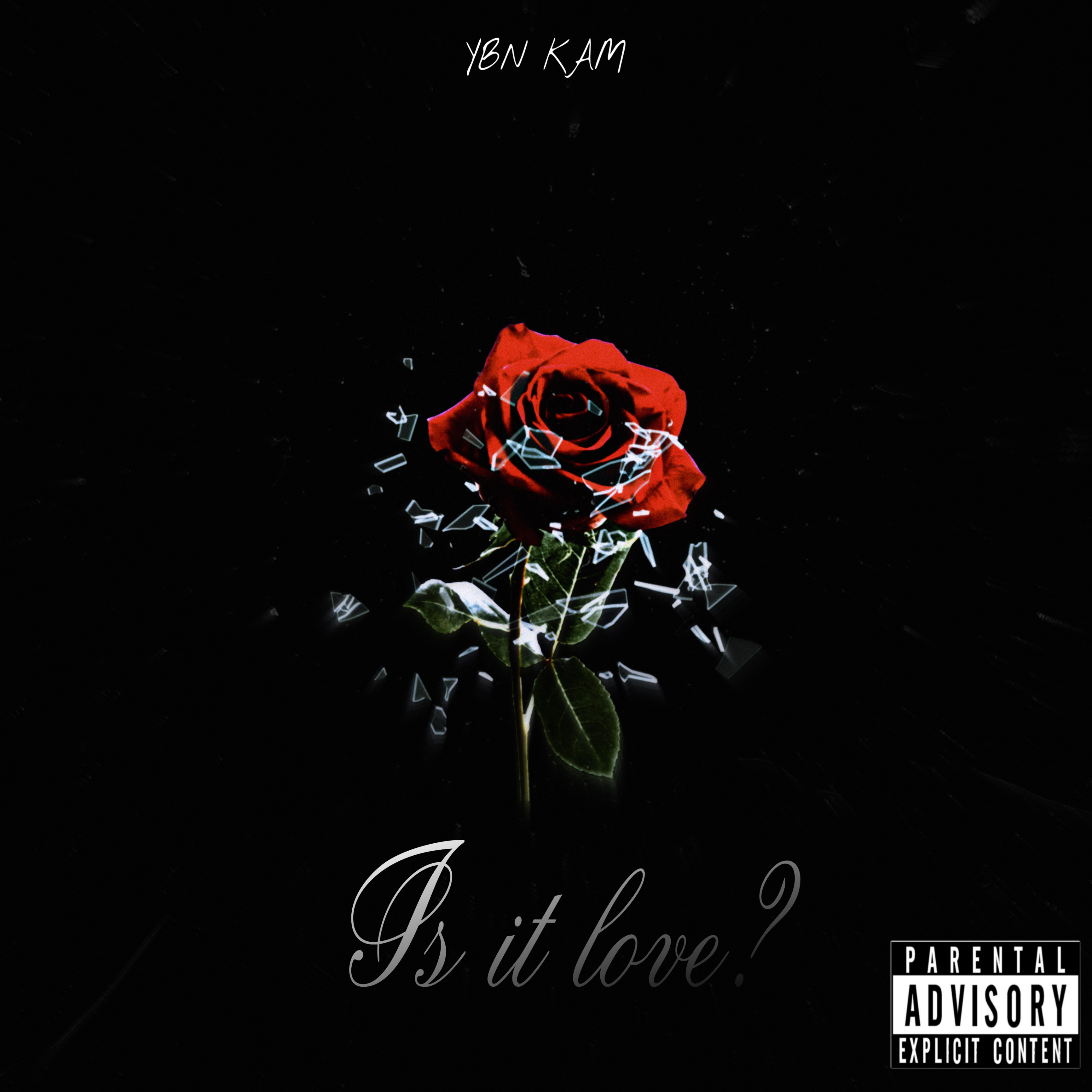 IS IT LOVE artwork