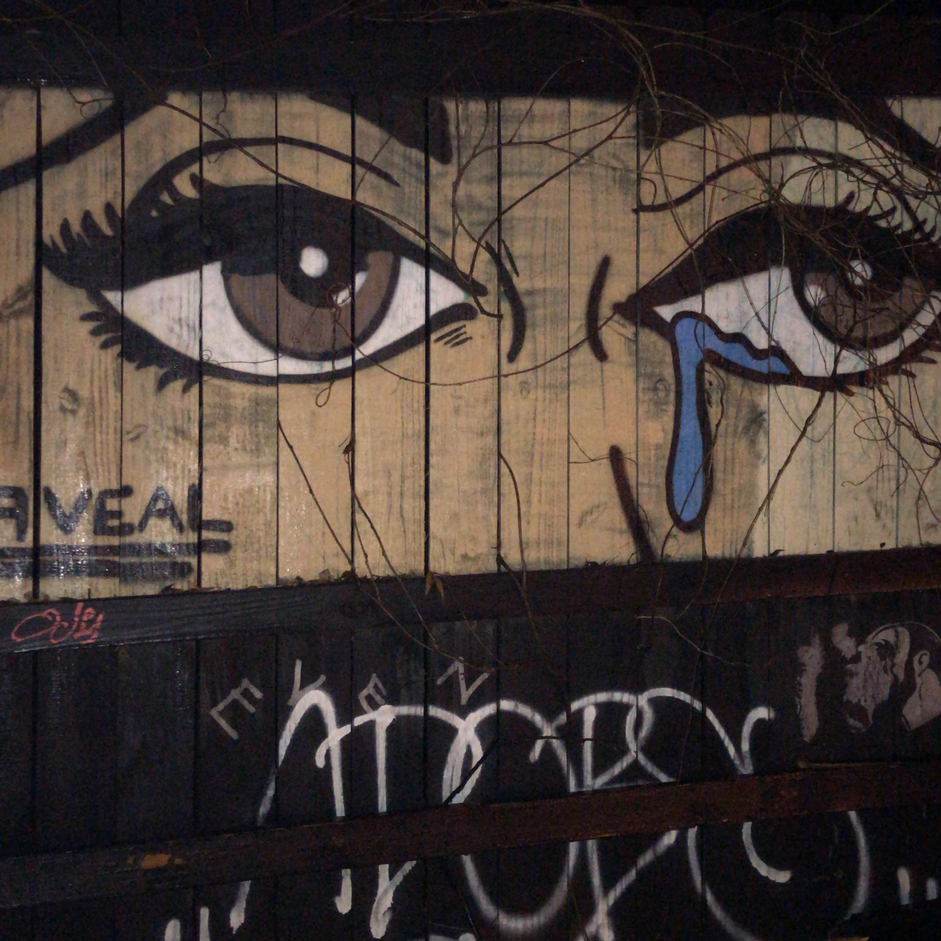 Plenty artwork