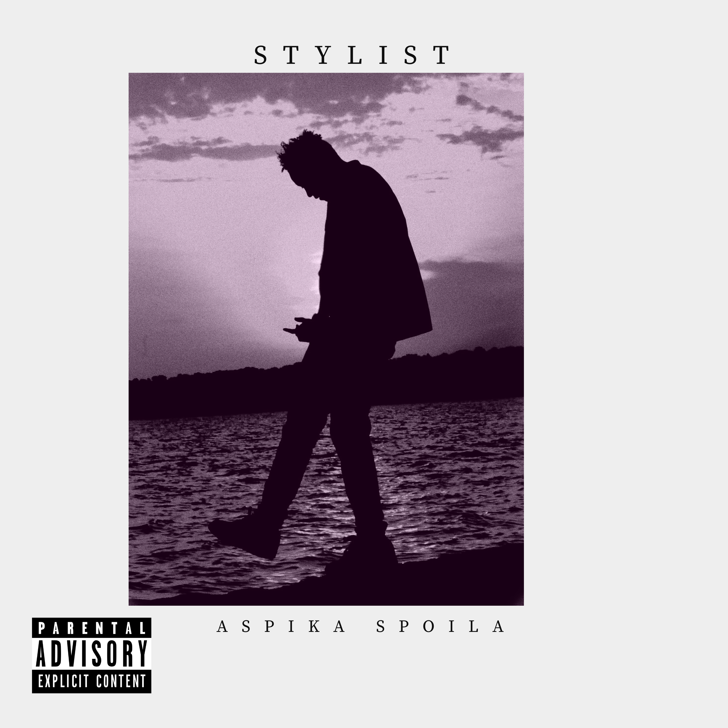 Stylist artwork