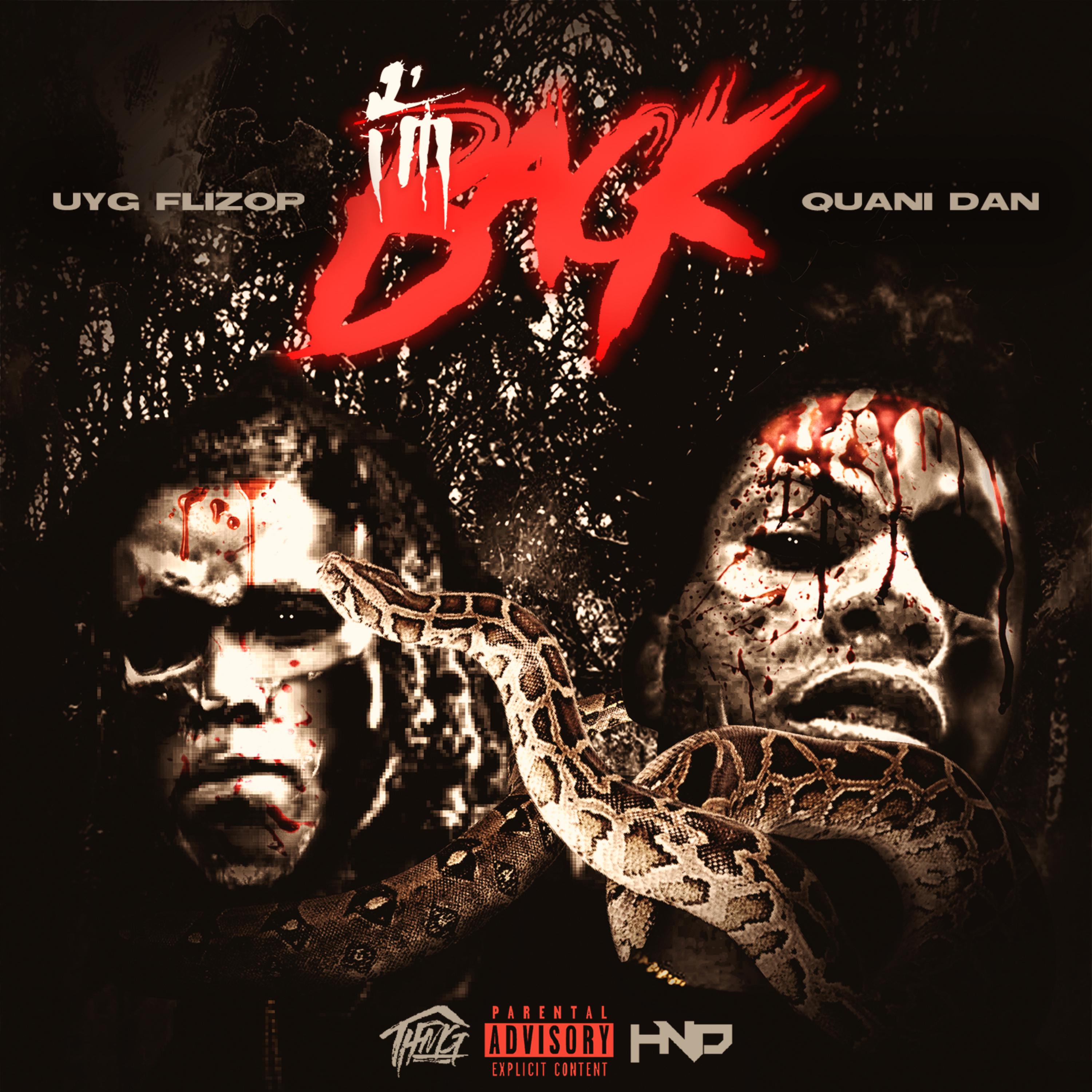 I'm Back (Remix) artwork