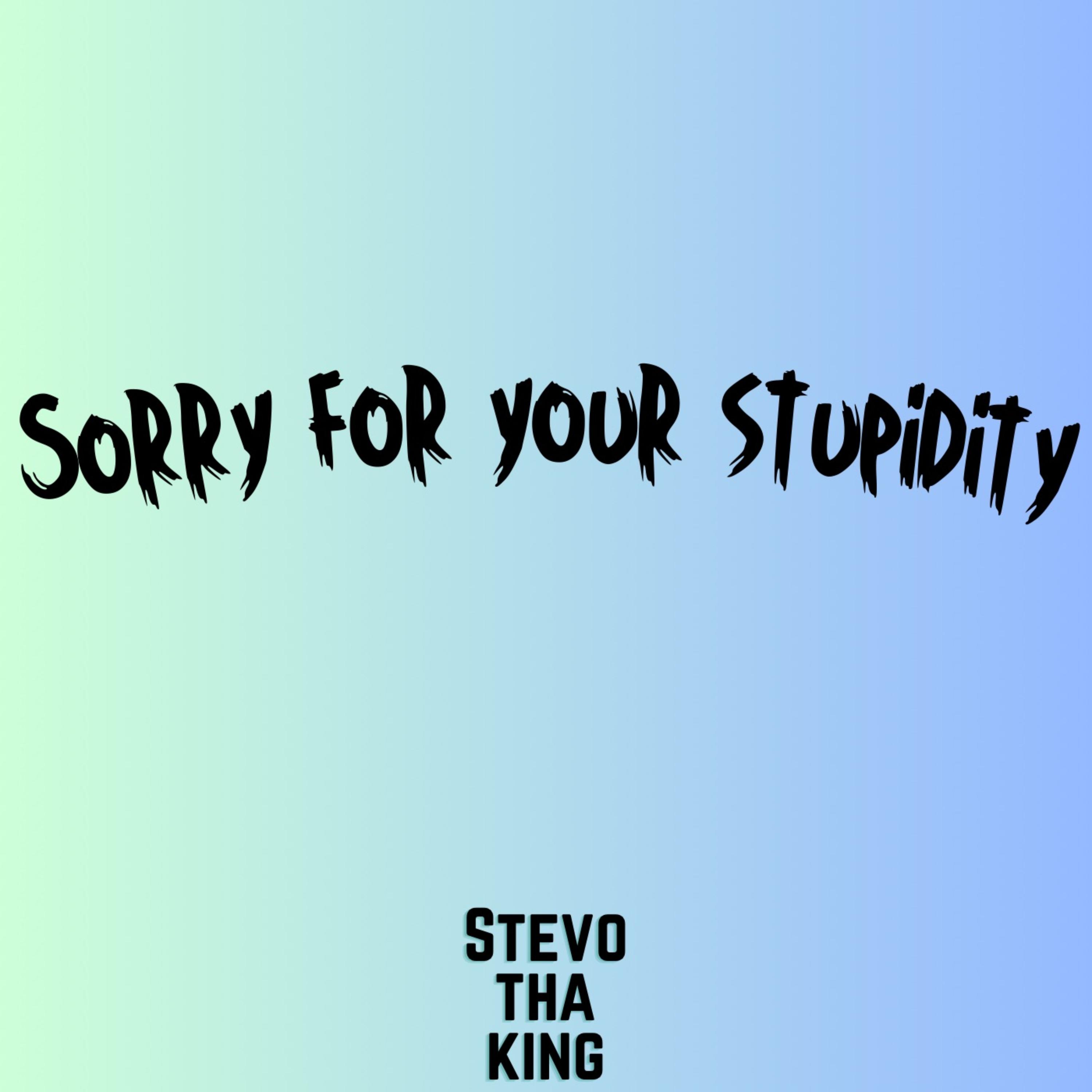 Sorry For Your Stupidity artwork