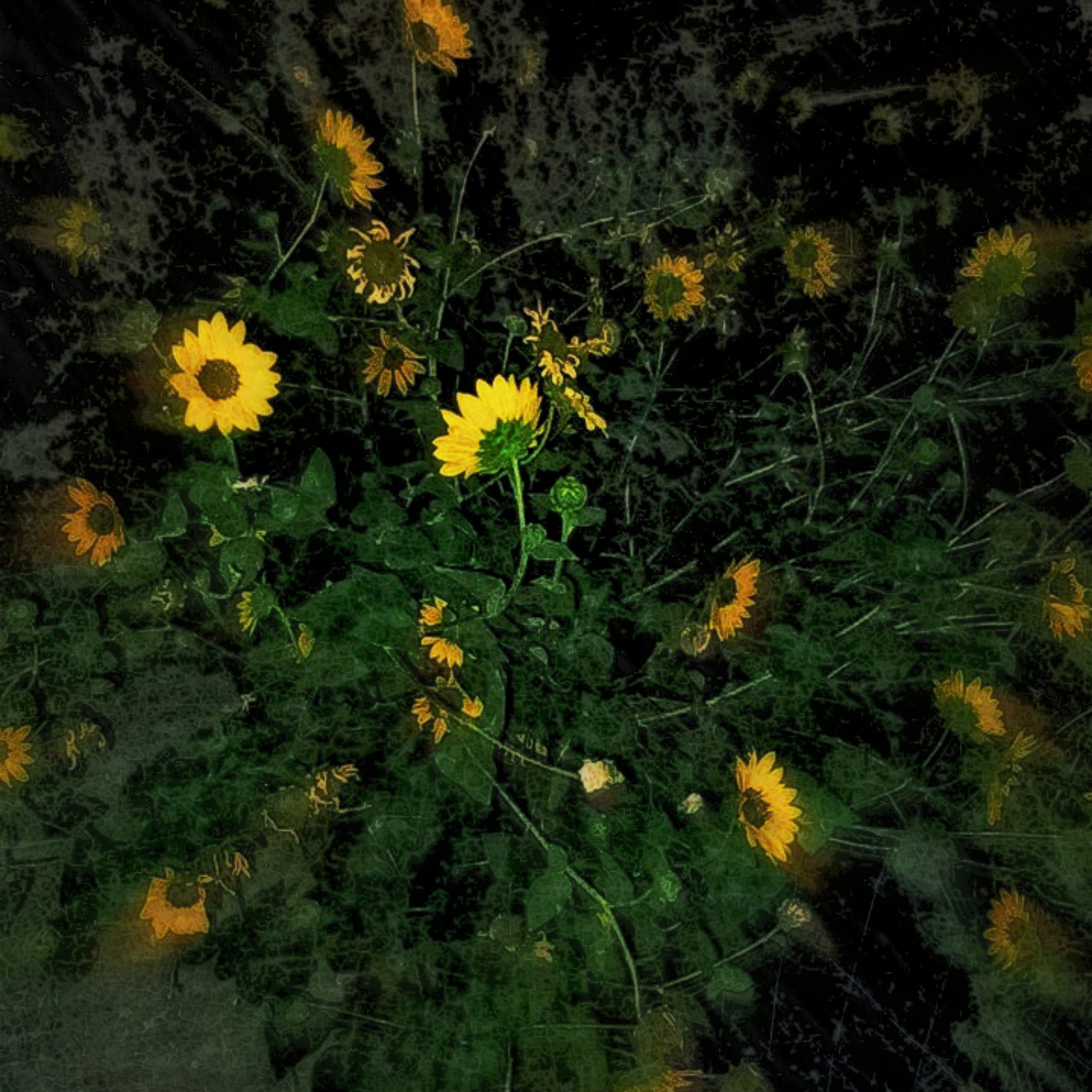 Go with the flow artwork