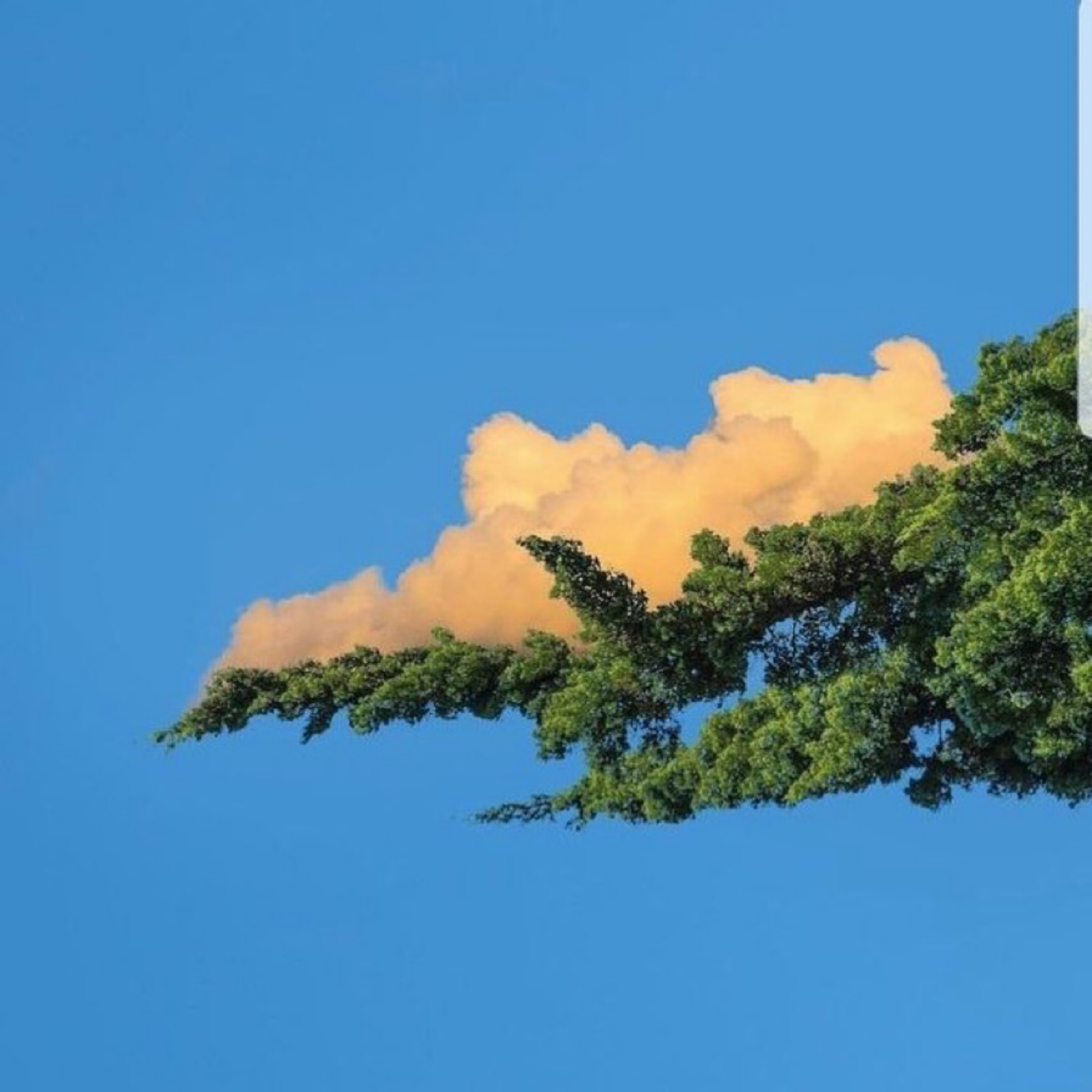 savetheworld artwork