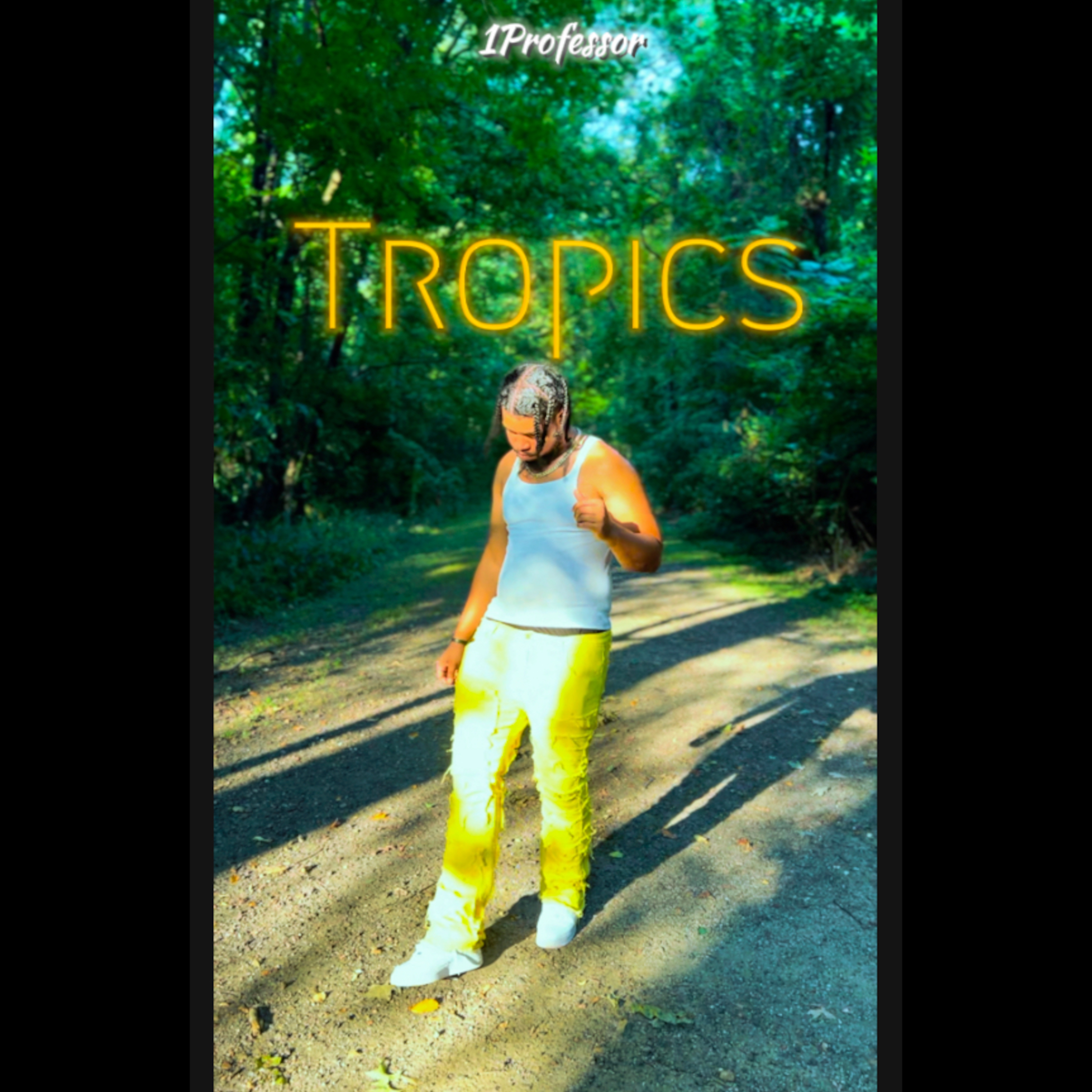 Tropics artwork