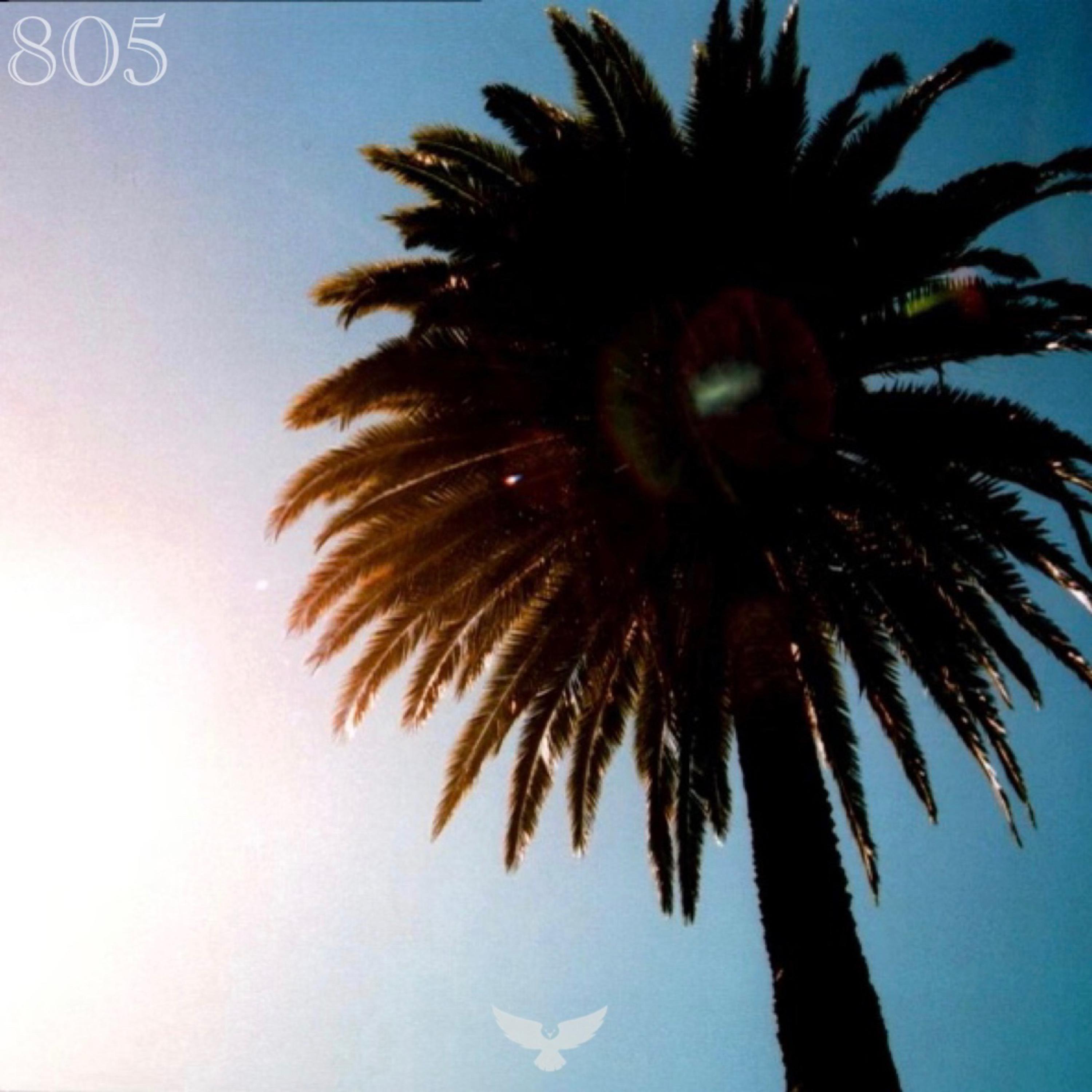 805 artwork