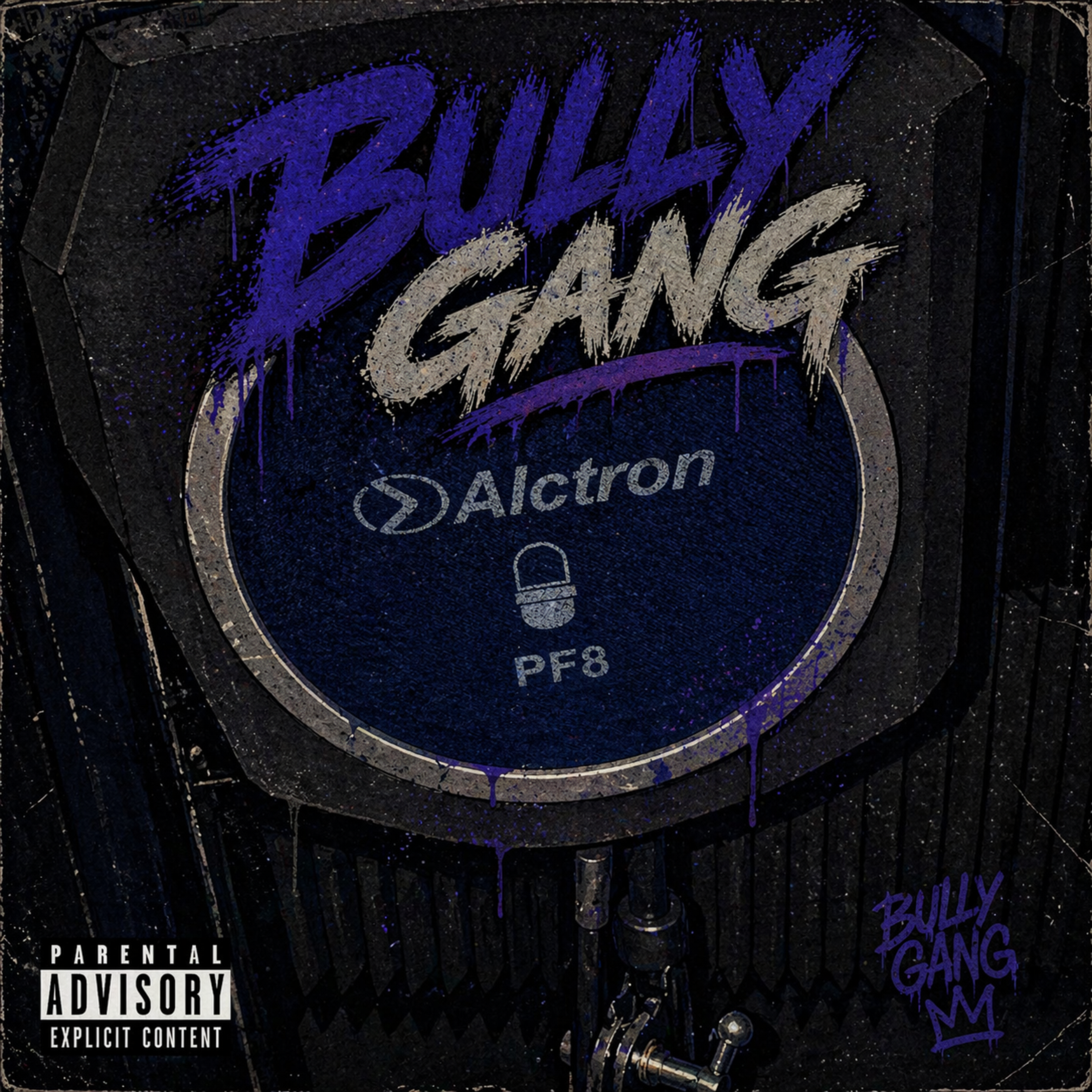 Bully Gang artwork