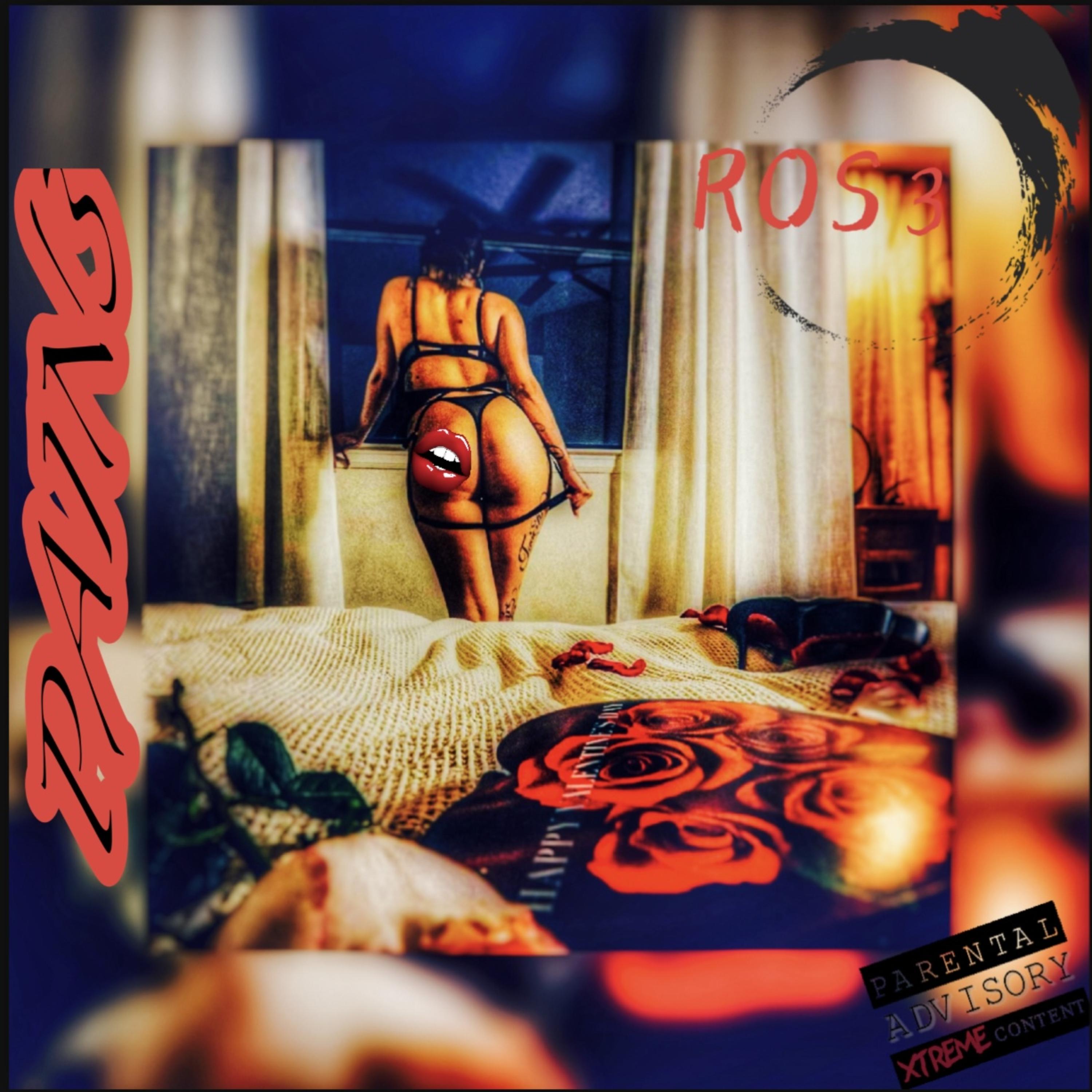 ROS3 artwork