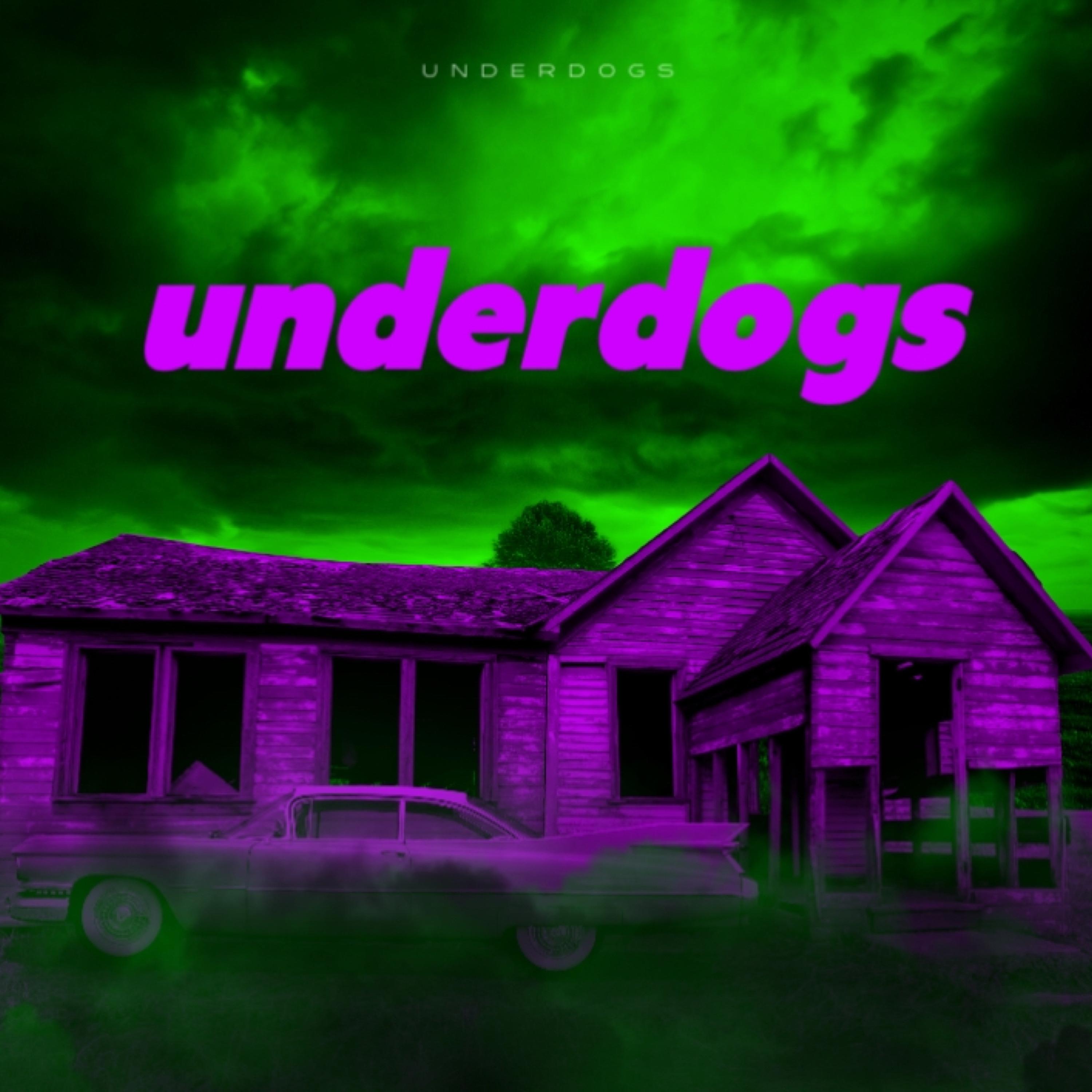 UNDERDOGS artwork
