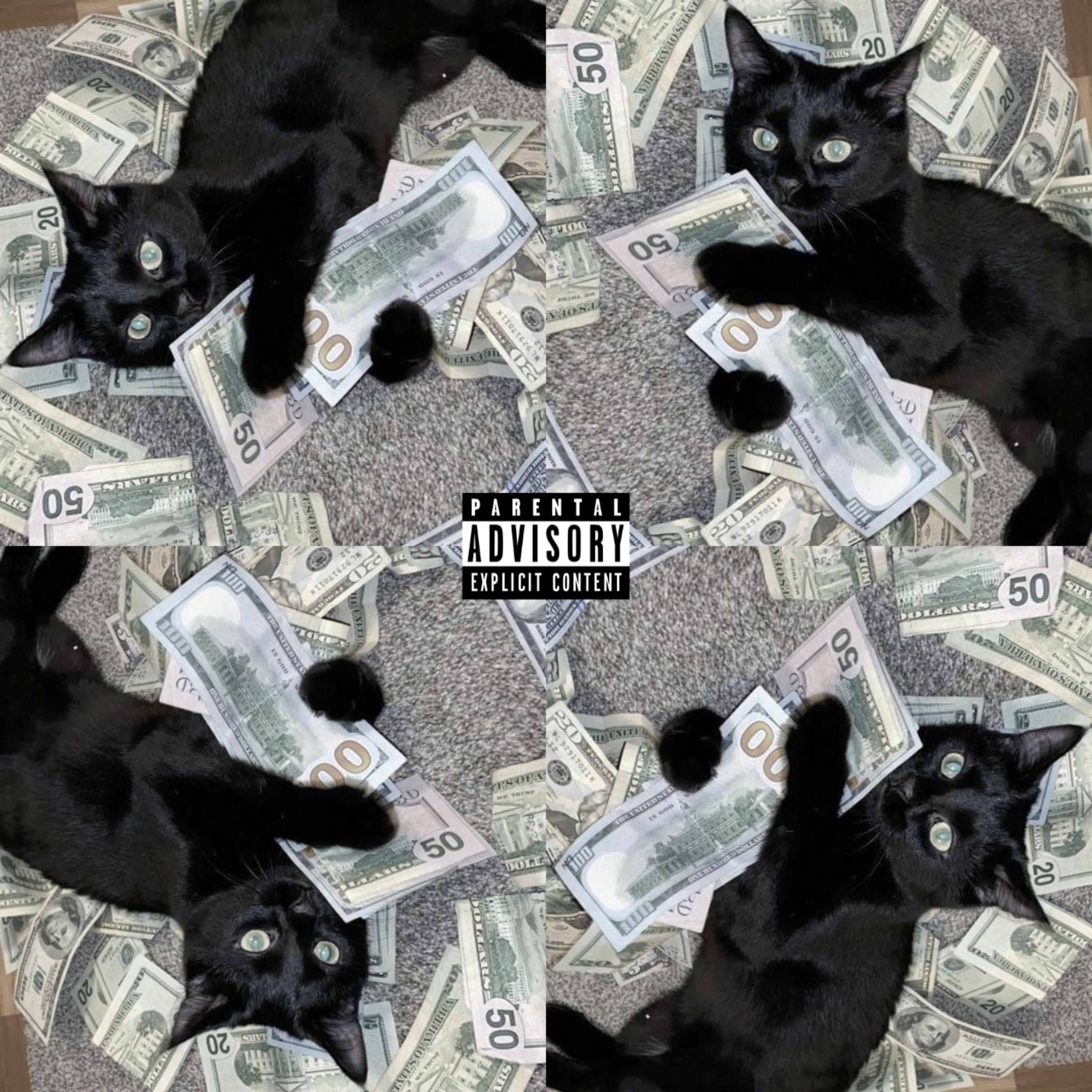 Money Hungry artwork
