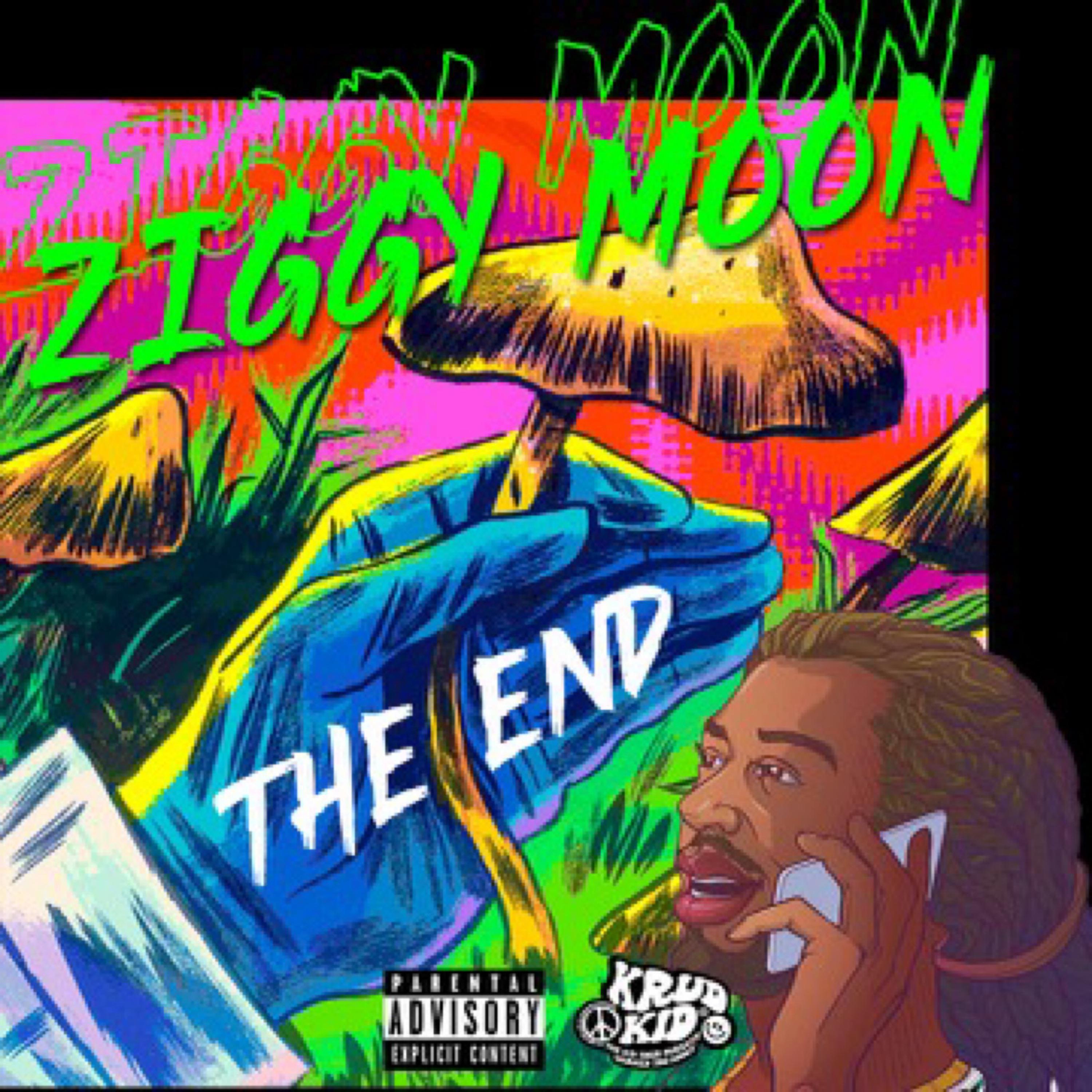 The End artwork