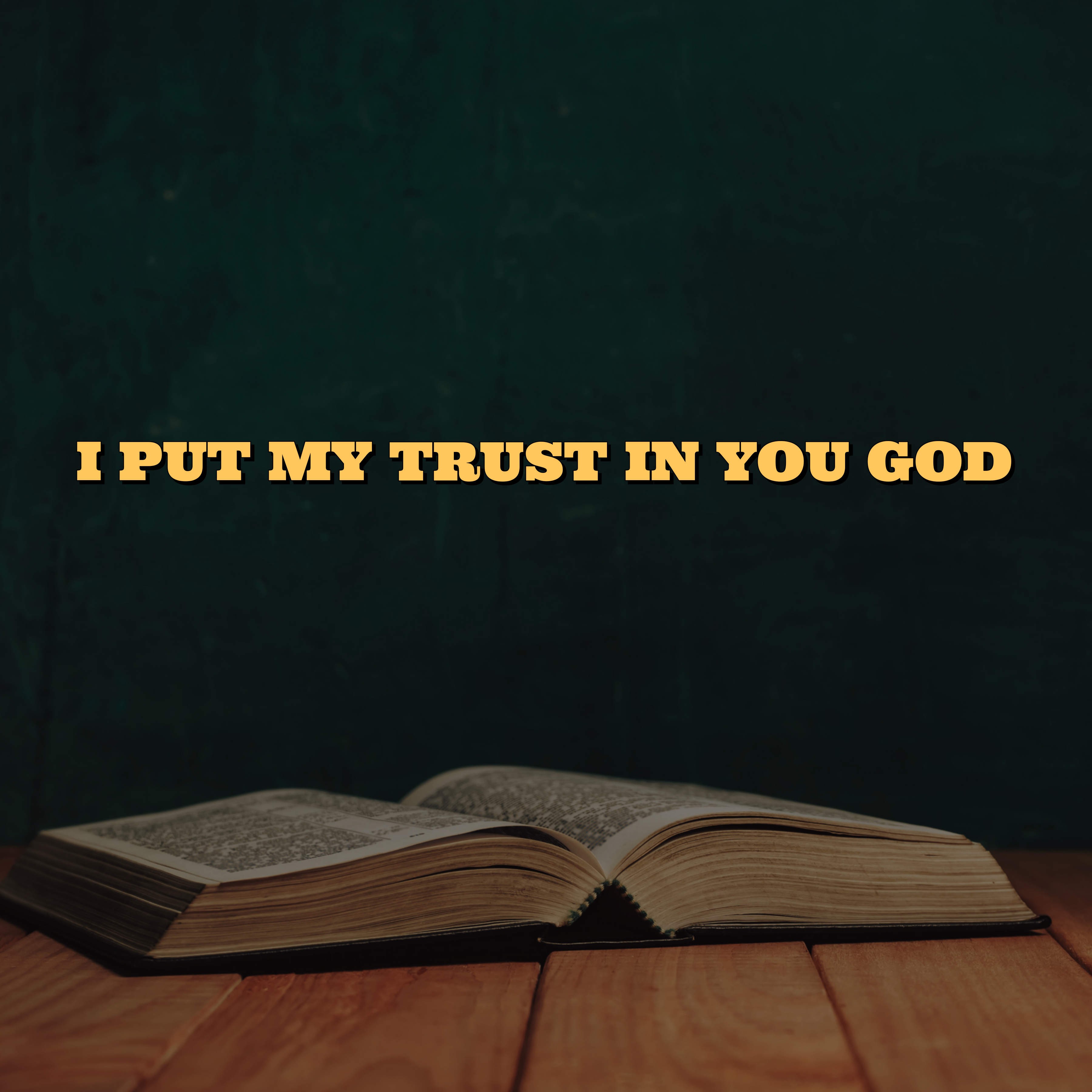 I PUT MY TRUST IN YOU GOD artwork