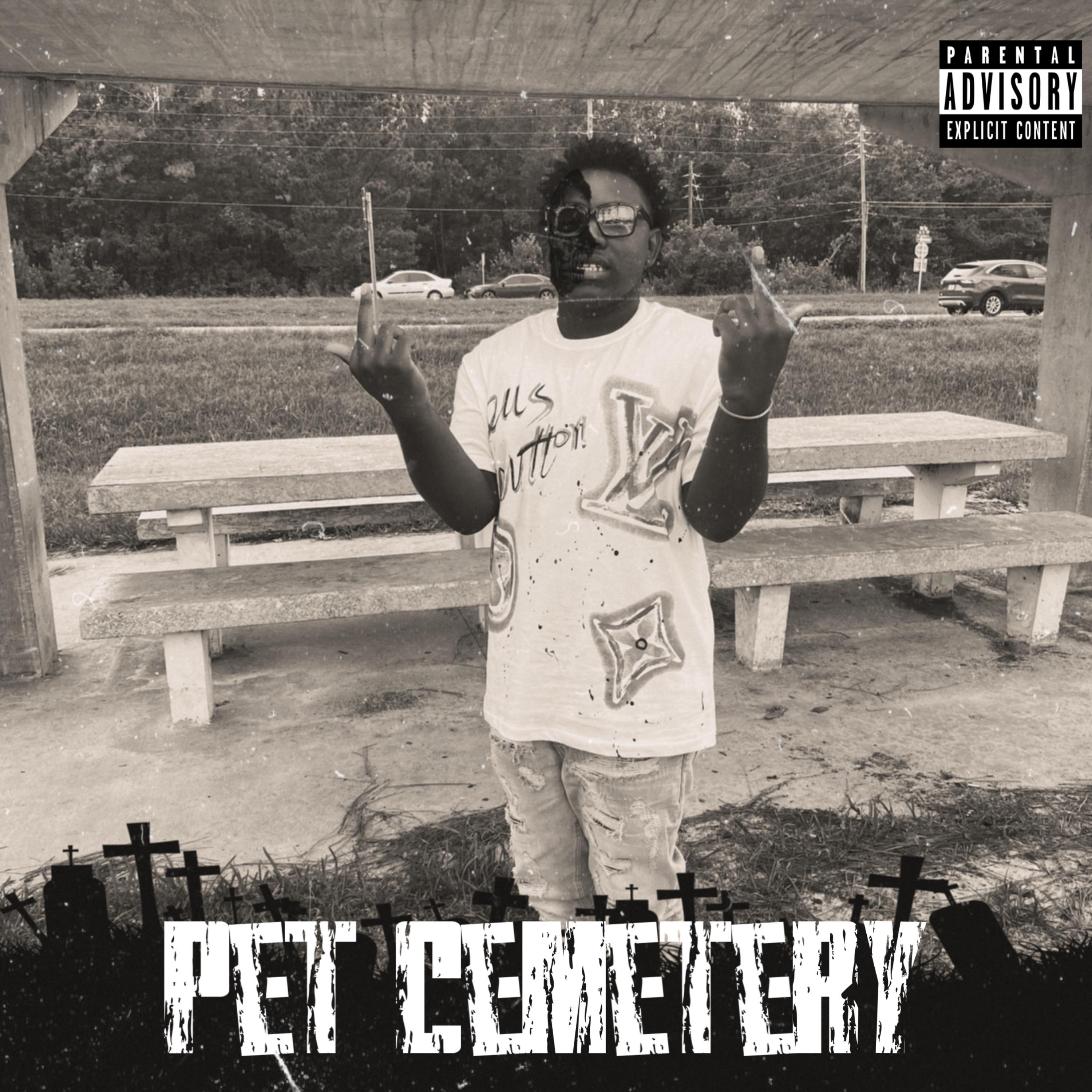 Pet Cemetery artwork