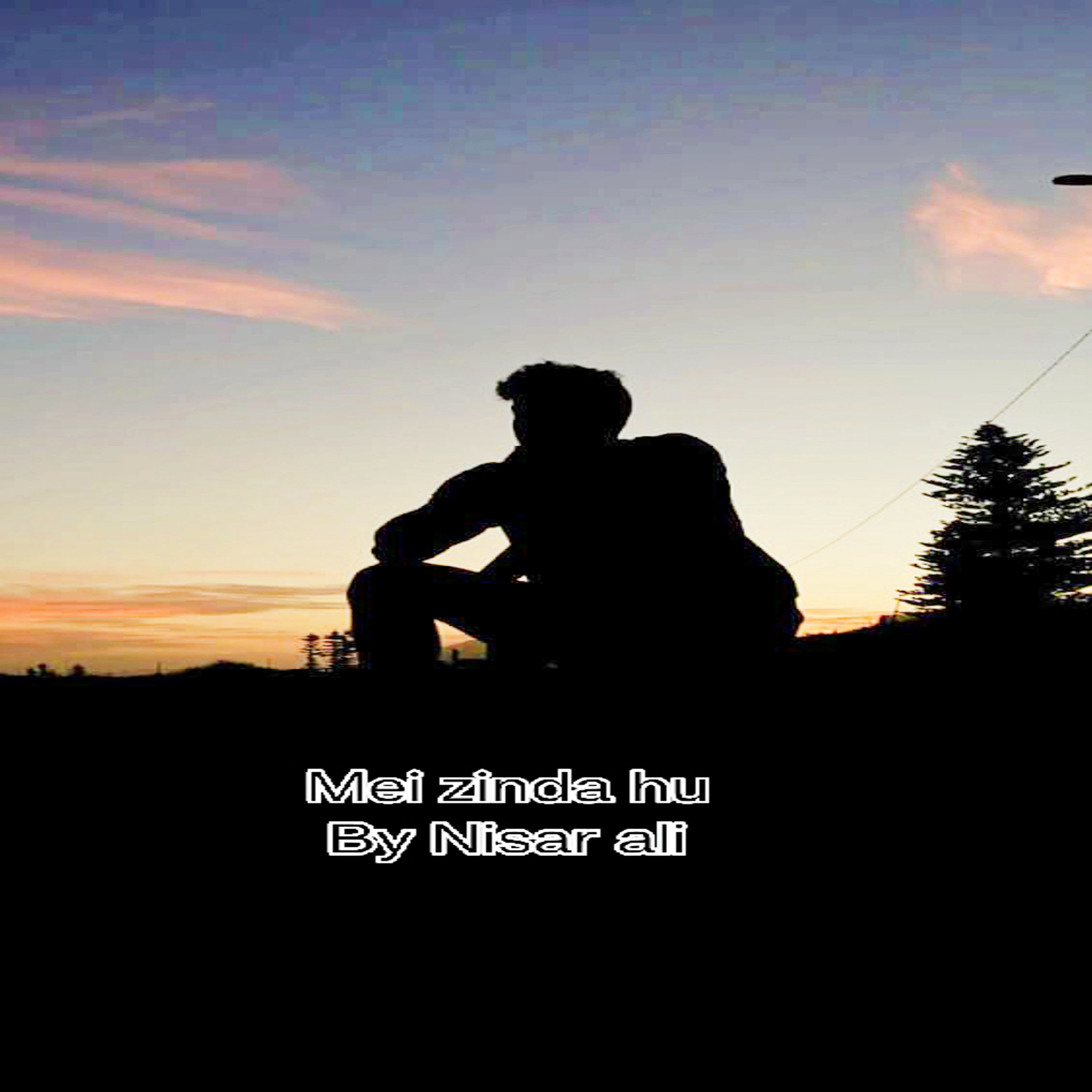 Mei Zinda hu artwork