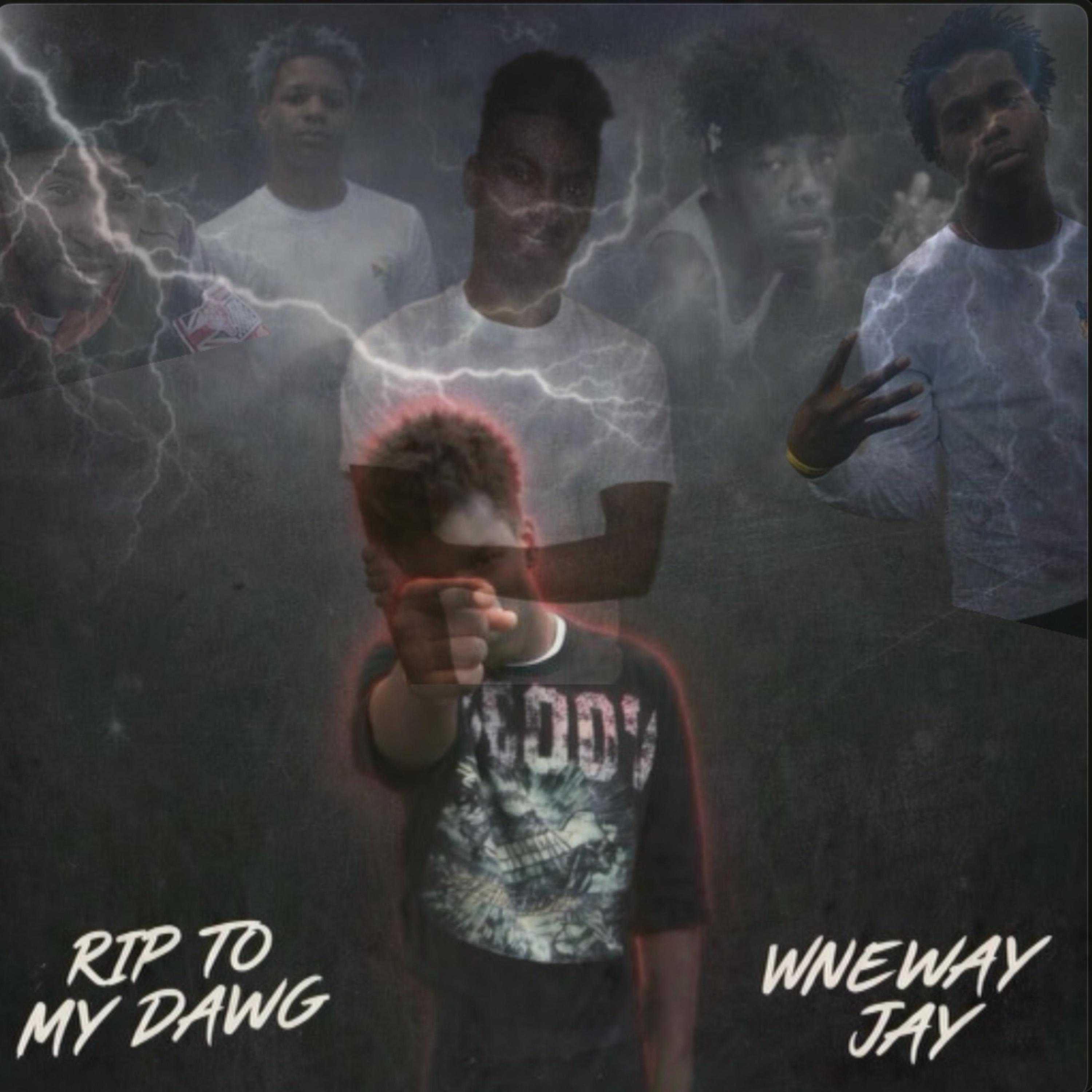 R.I.P. To My Dawg artwork