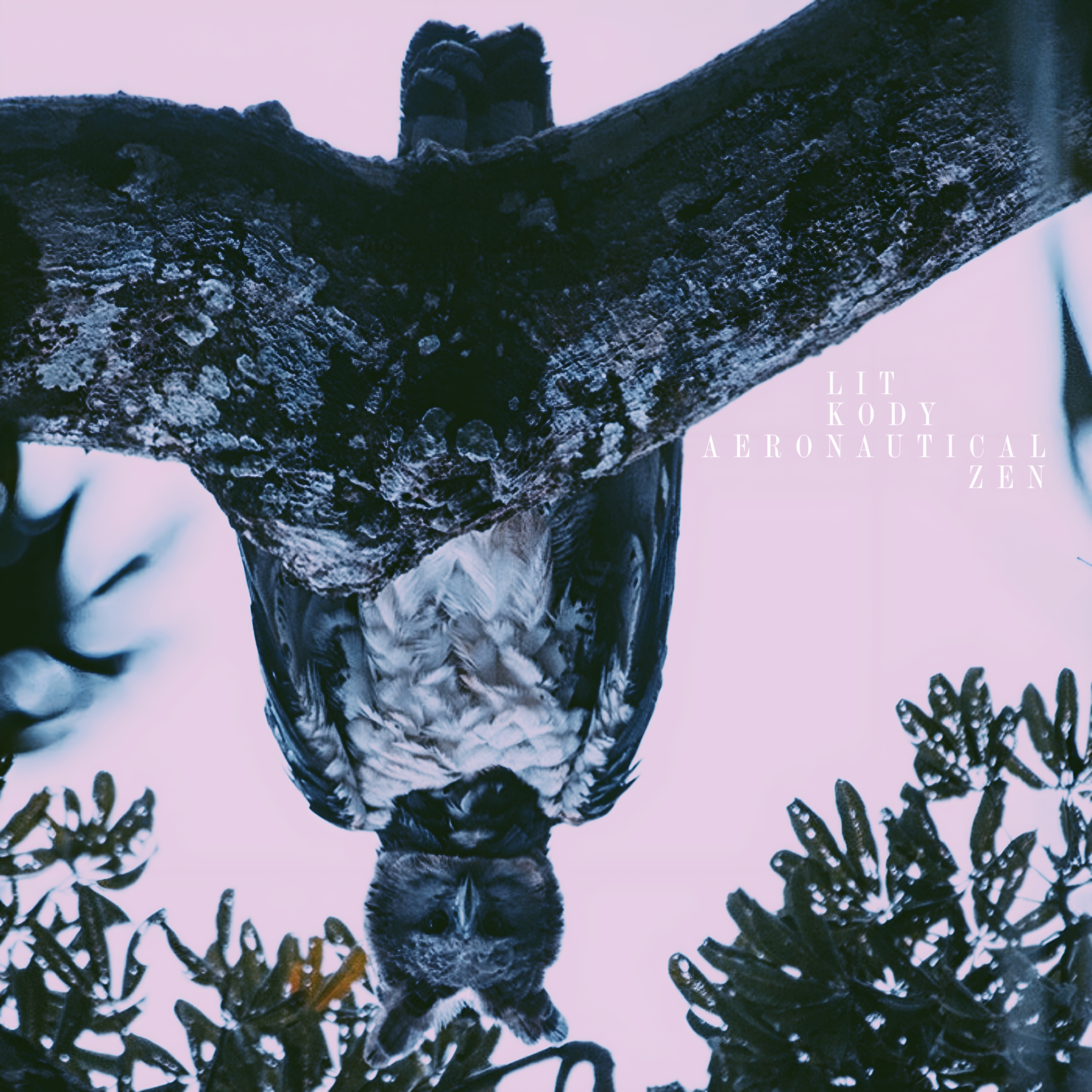 AERONAUTICAL ZEN artwork