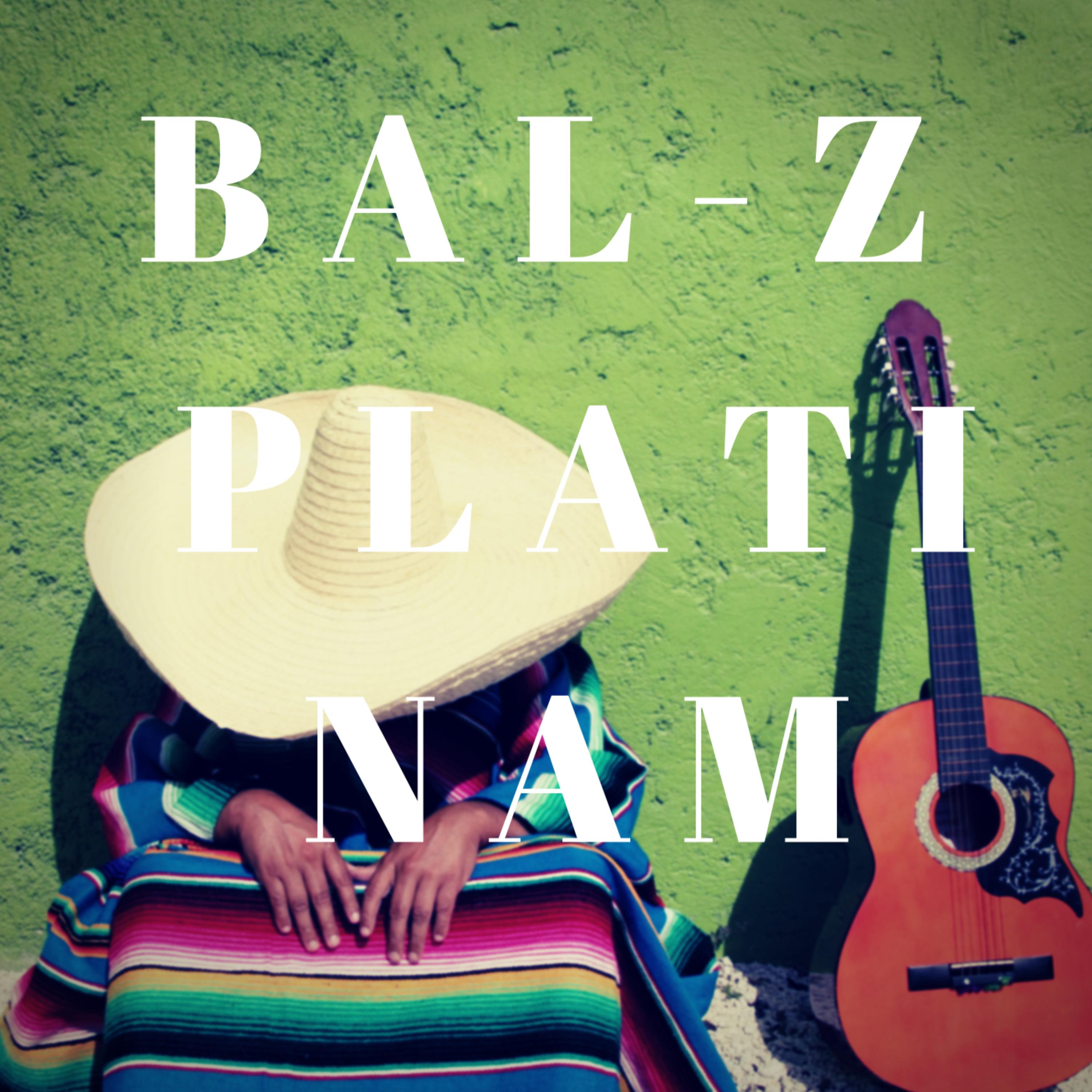 PLATI NAM by BaL-Z cover art