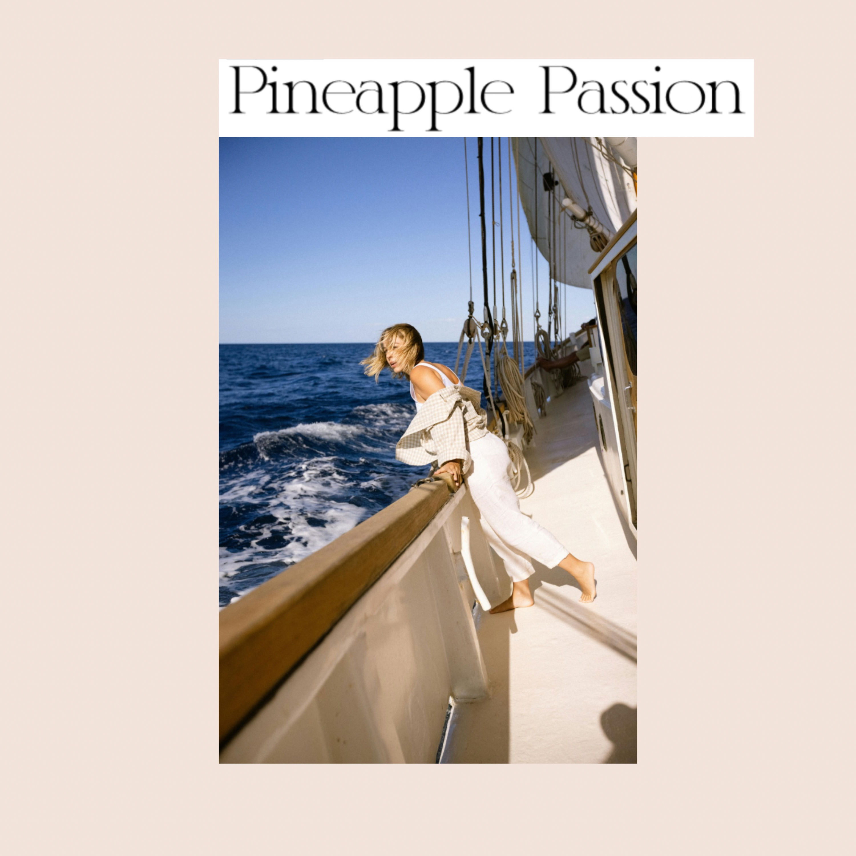 Pineapple Passion artwork