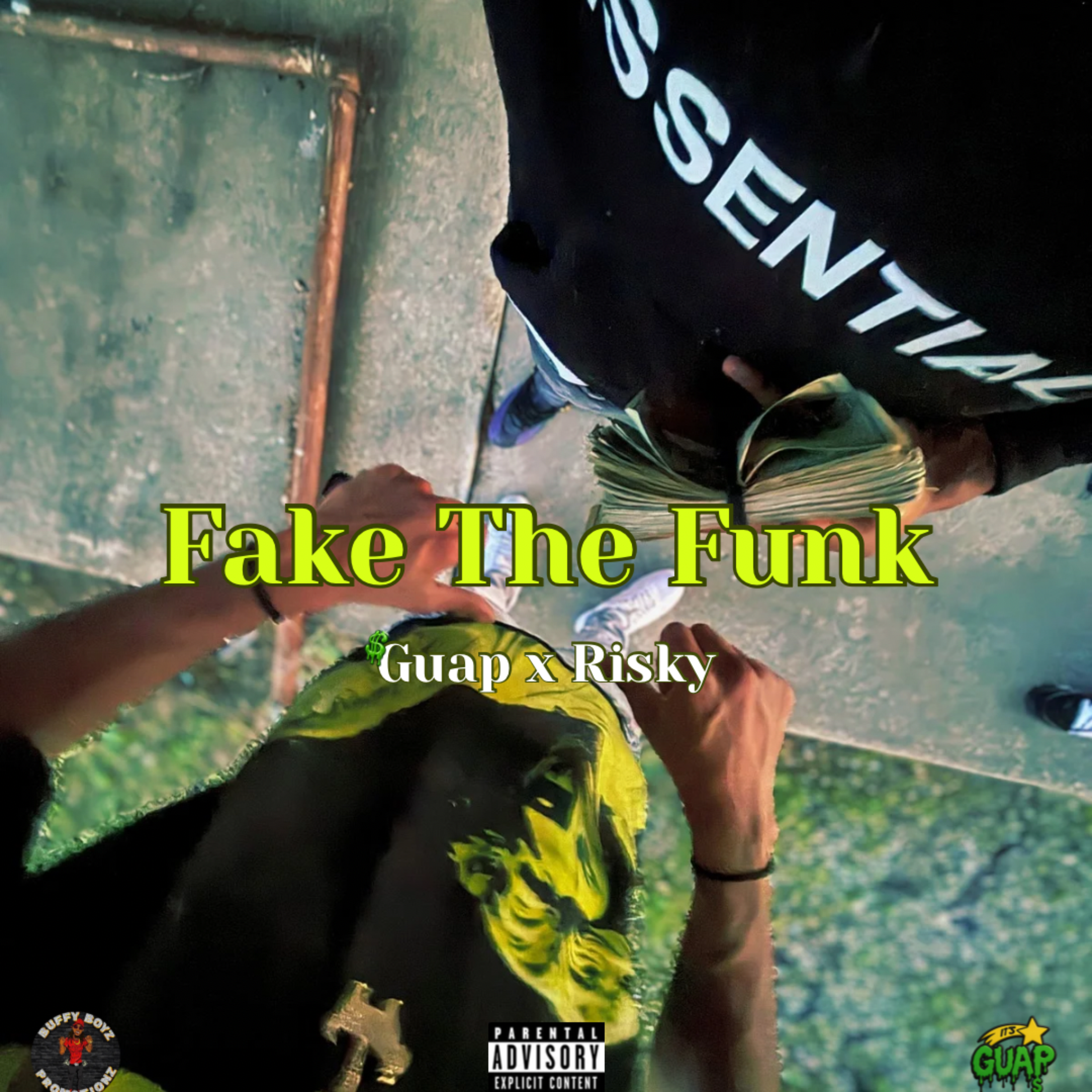 Fake The Funk artwork