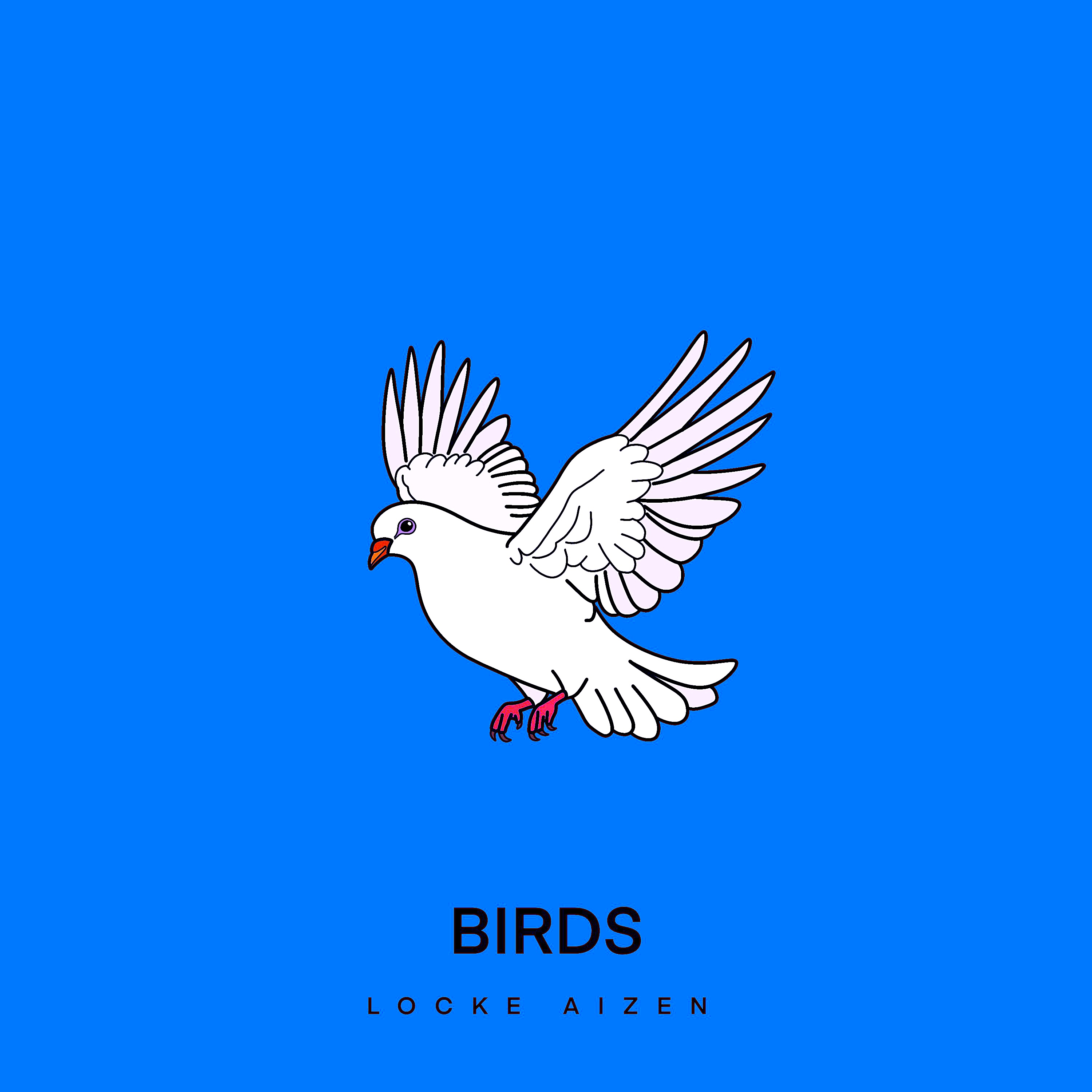 BIRDS artwork