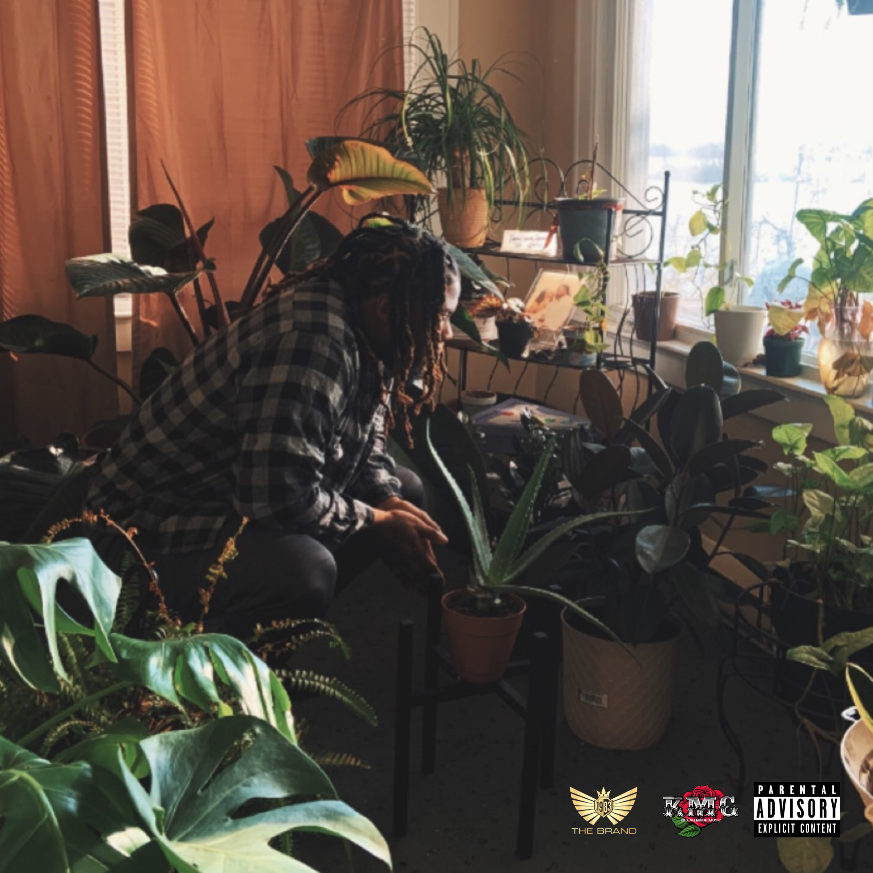 Sunroom Poetry artwork