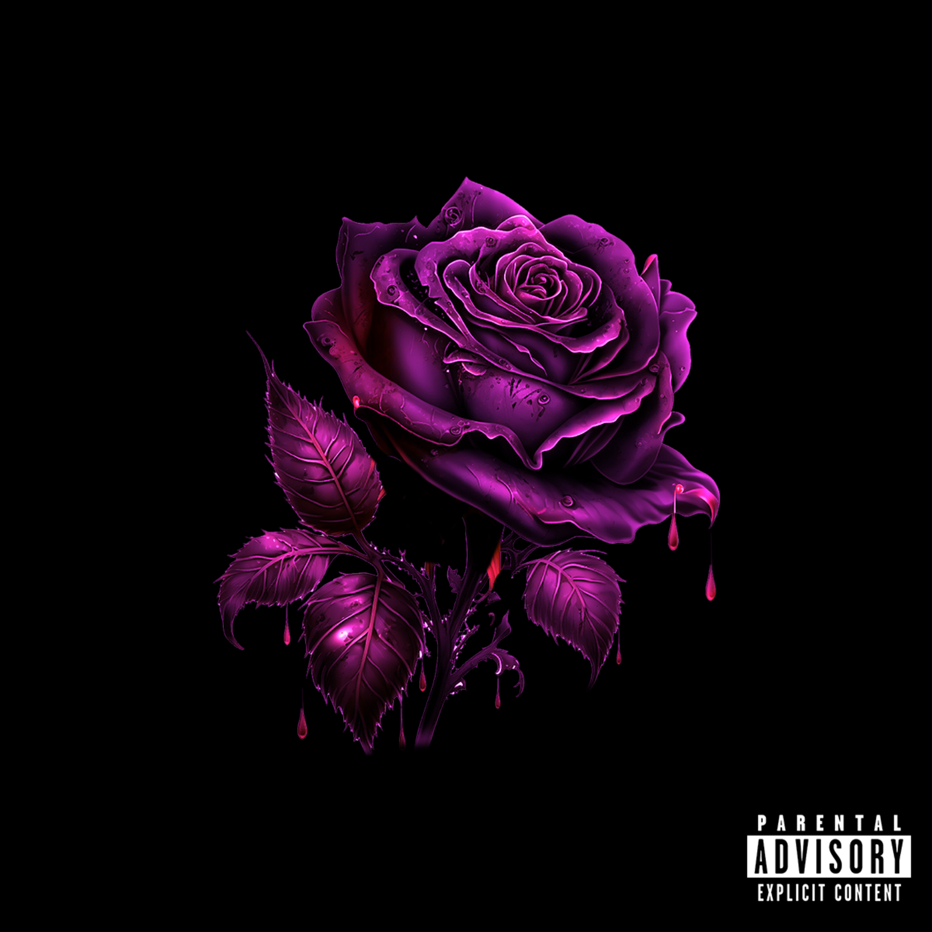 Shinnin’ artwork