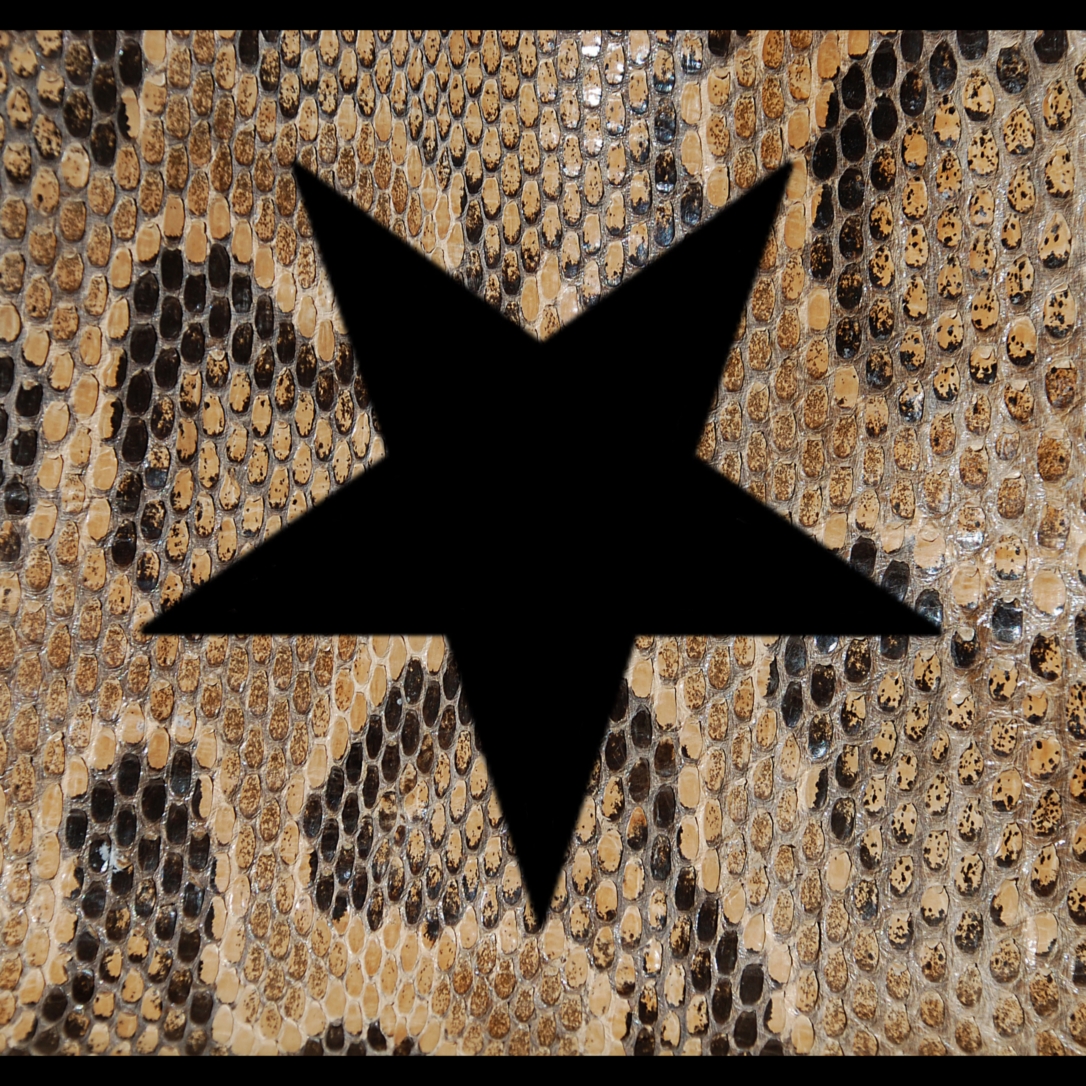 Brandnewbag artwork