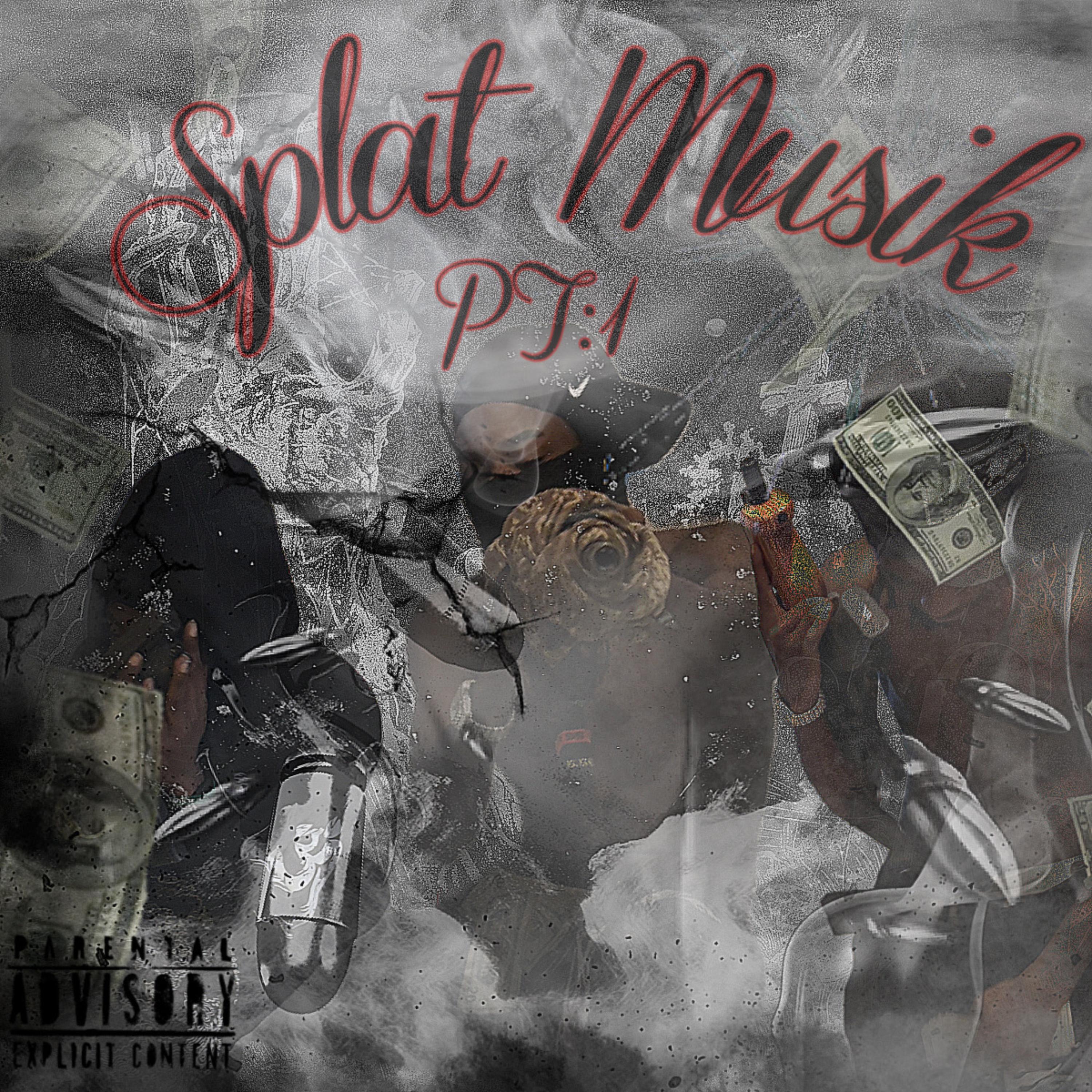 Splat MusikPt1 artwork