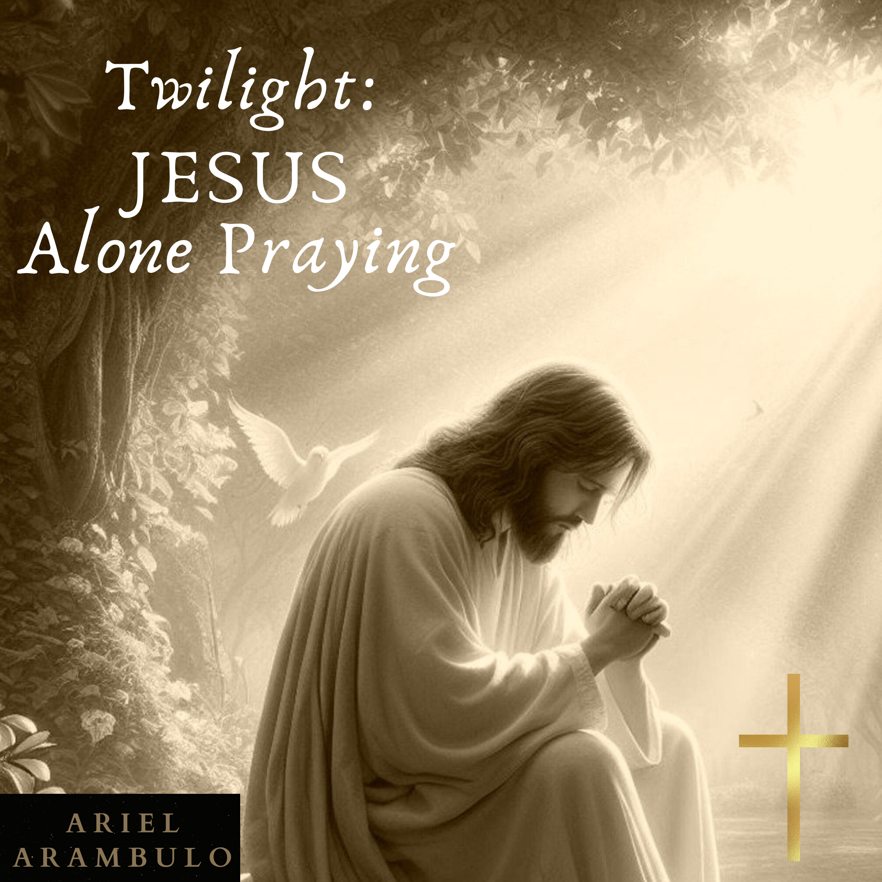 TWILIGHT: JESUS ALONE PRAYING artwork