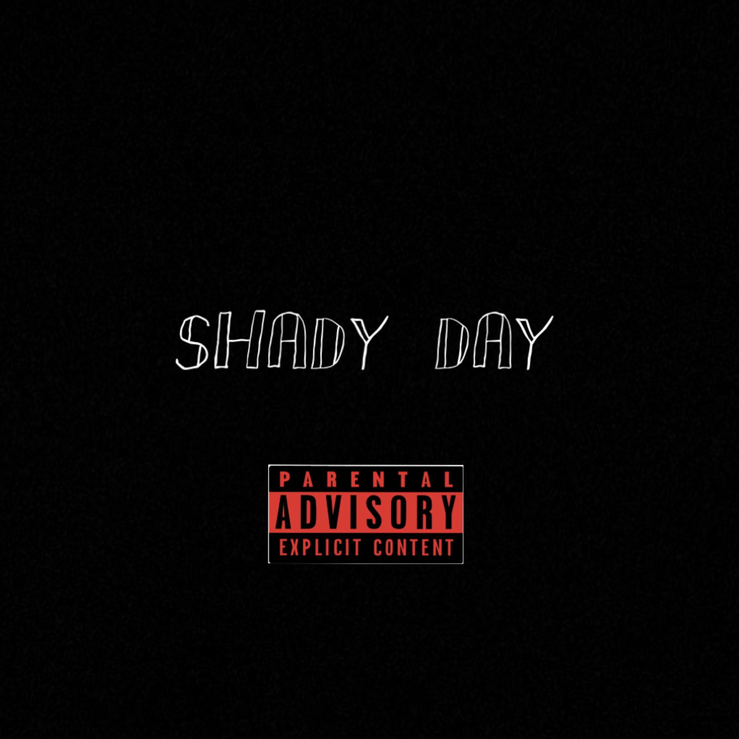 SHADY DAY artwork