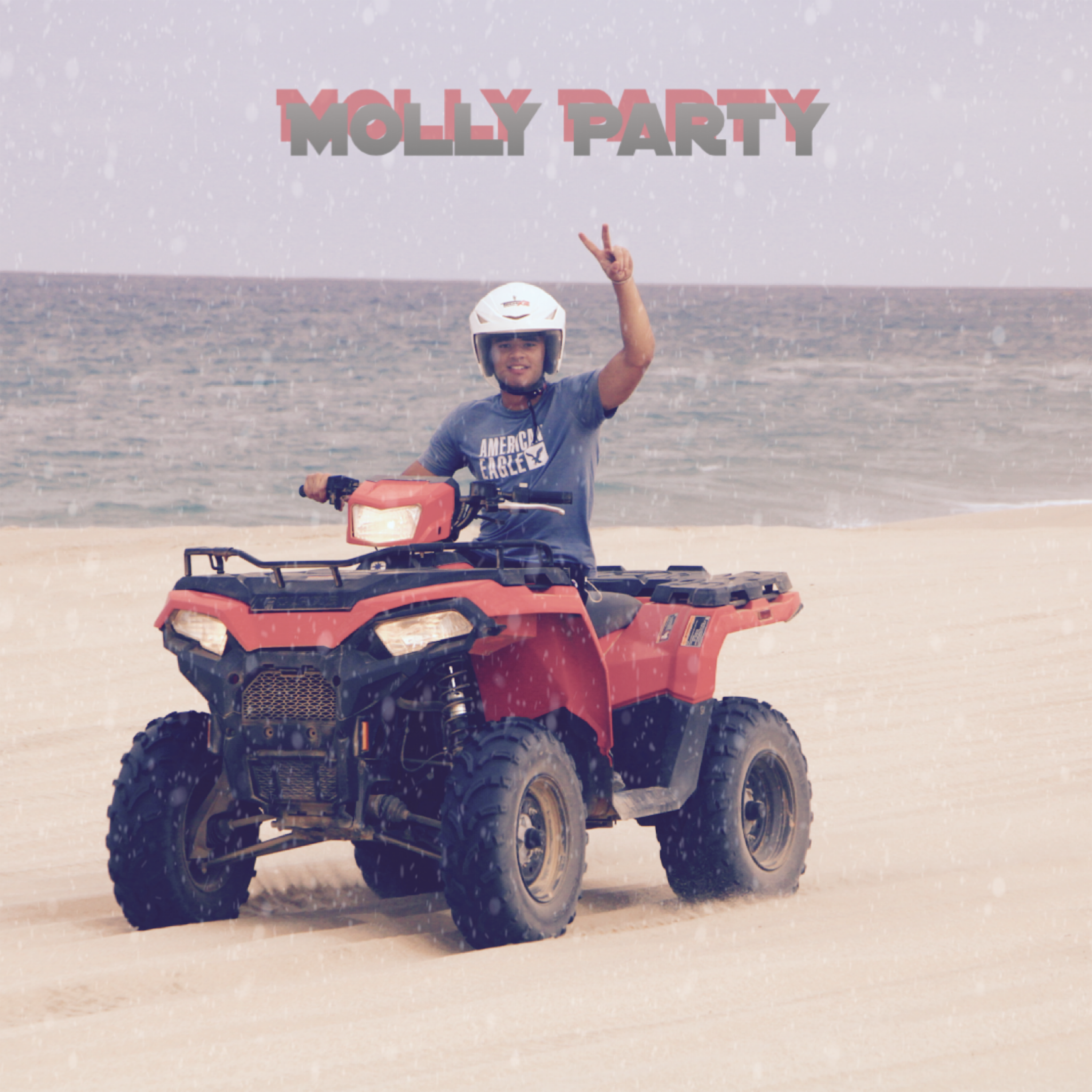 Molly Party artwork