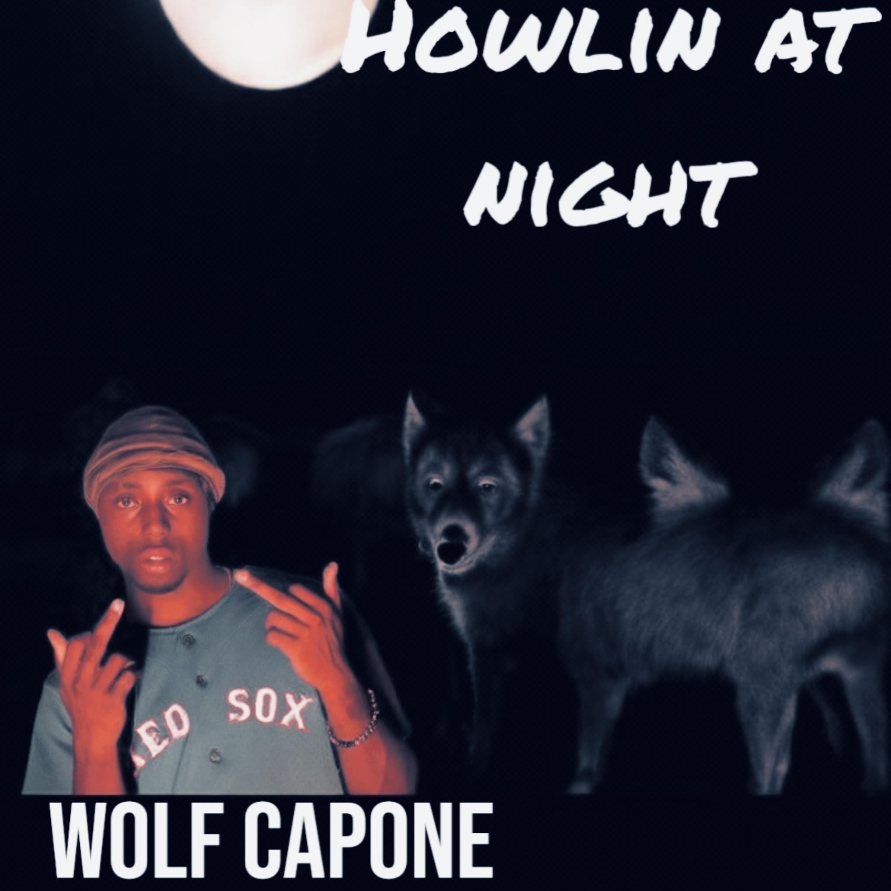 HOWLIN AT NIGHT artwork