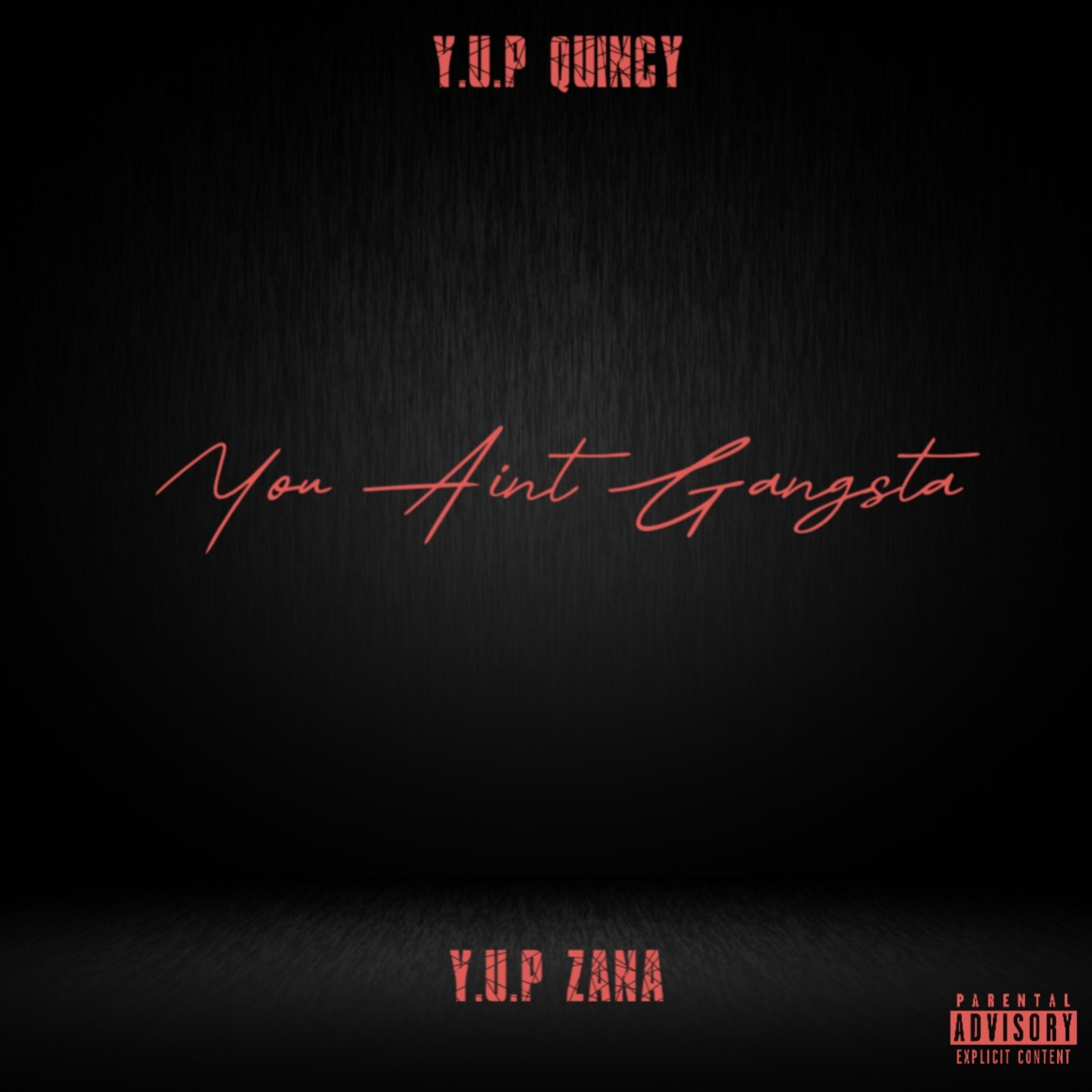 You Ain’t Gangsta artwork