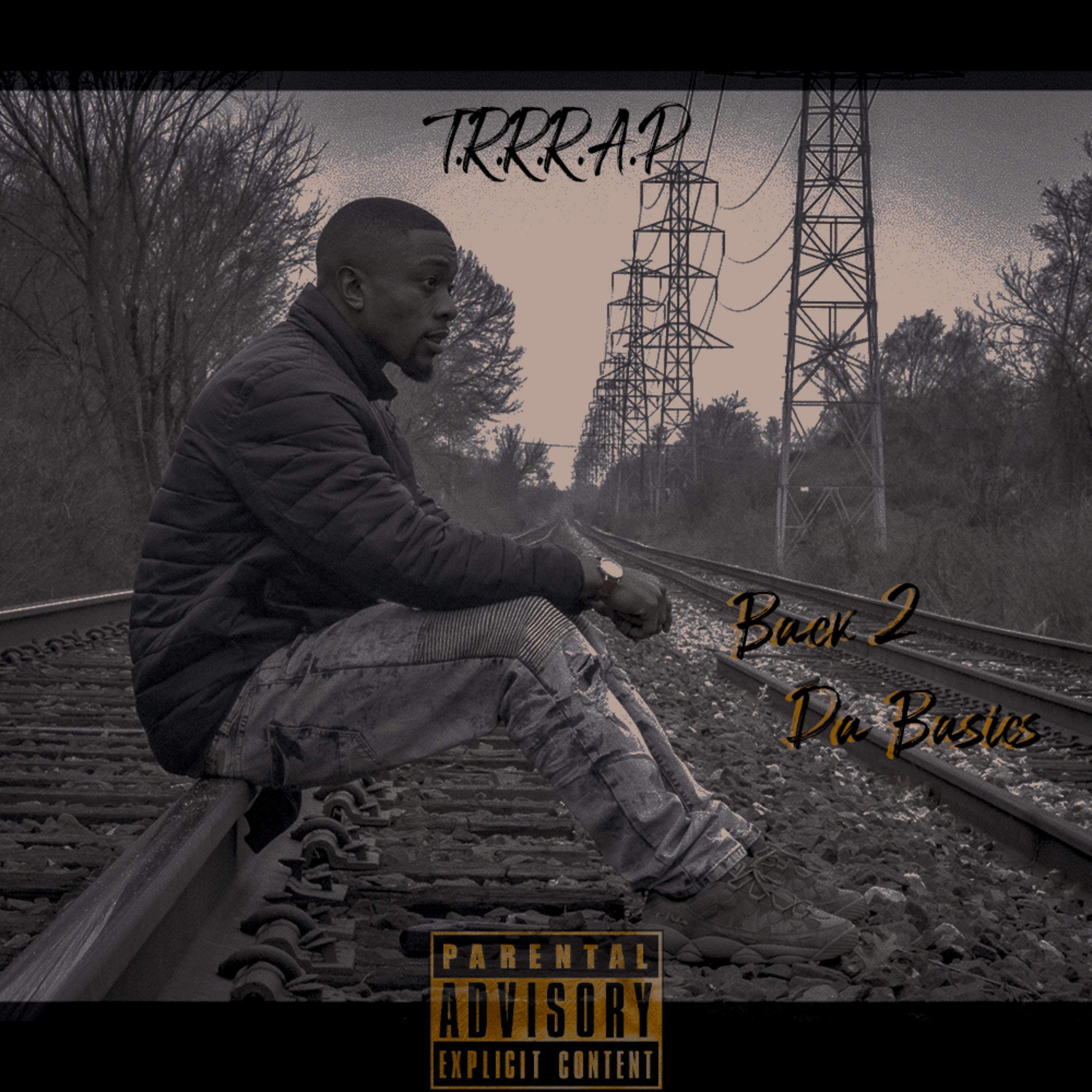BACK TO THE BASICS artwork