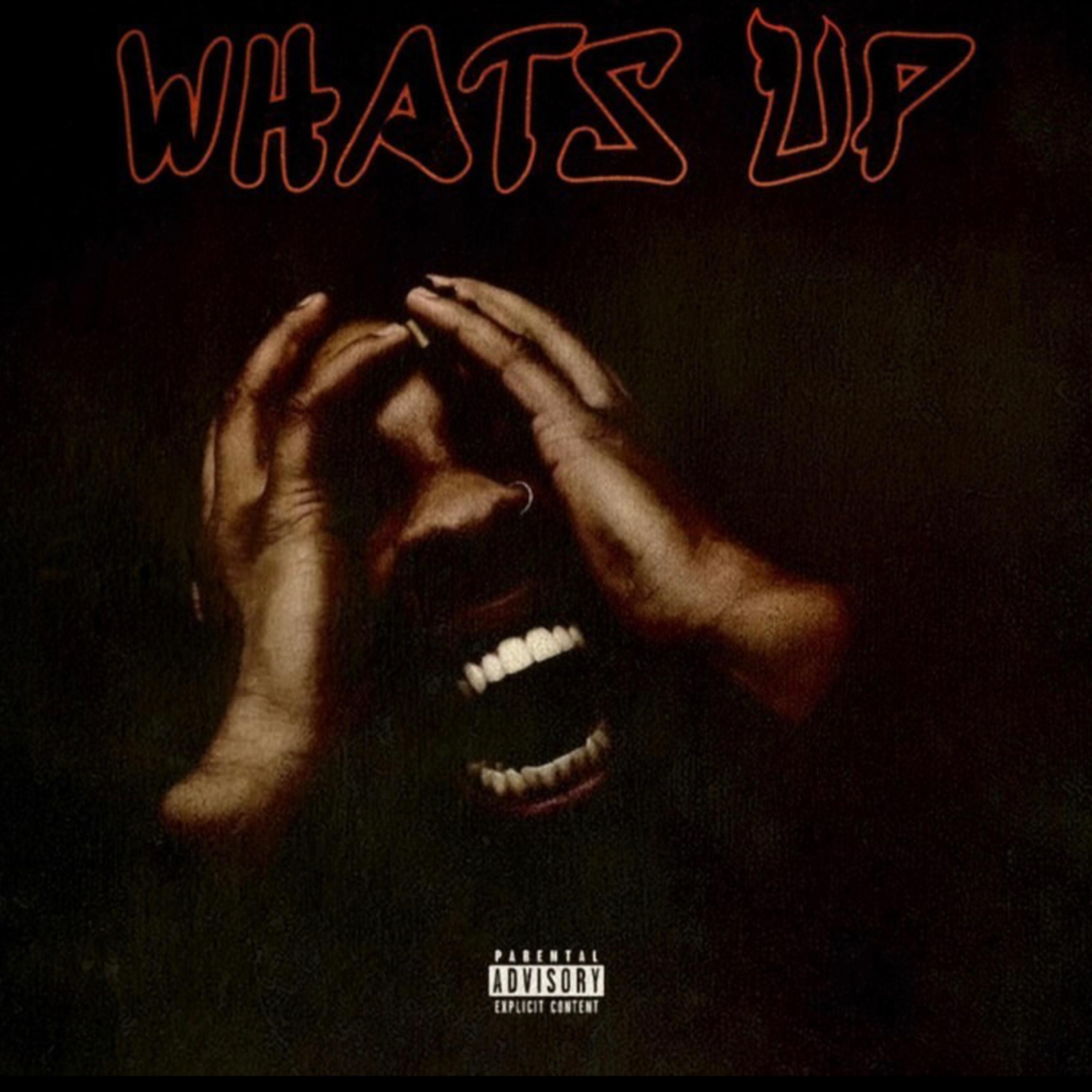 Whats Up artwork