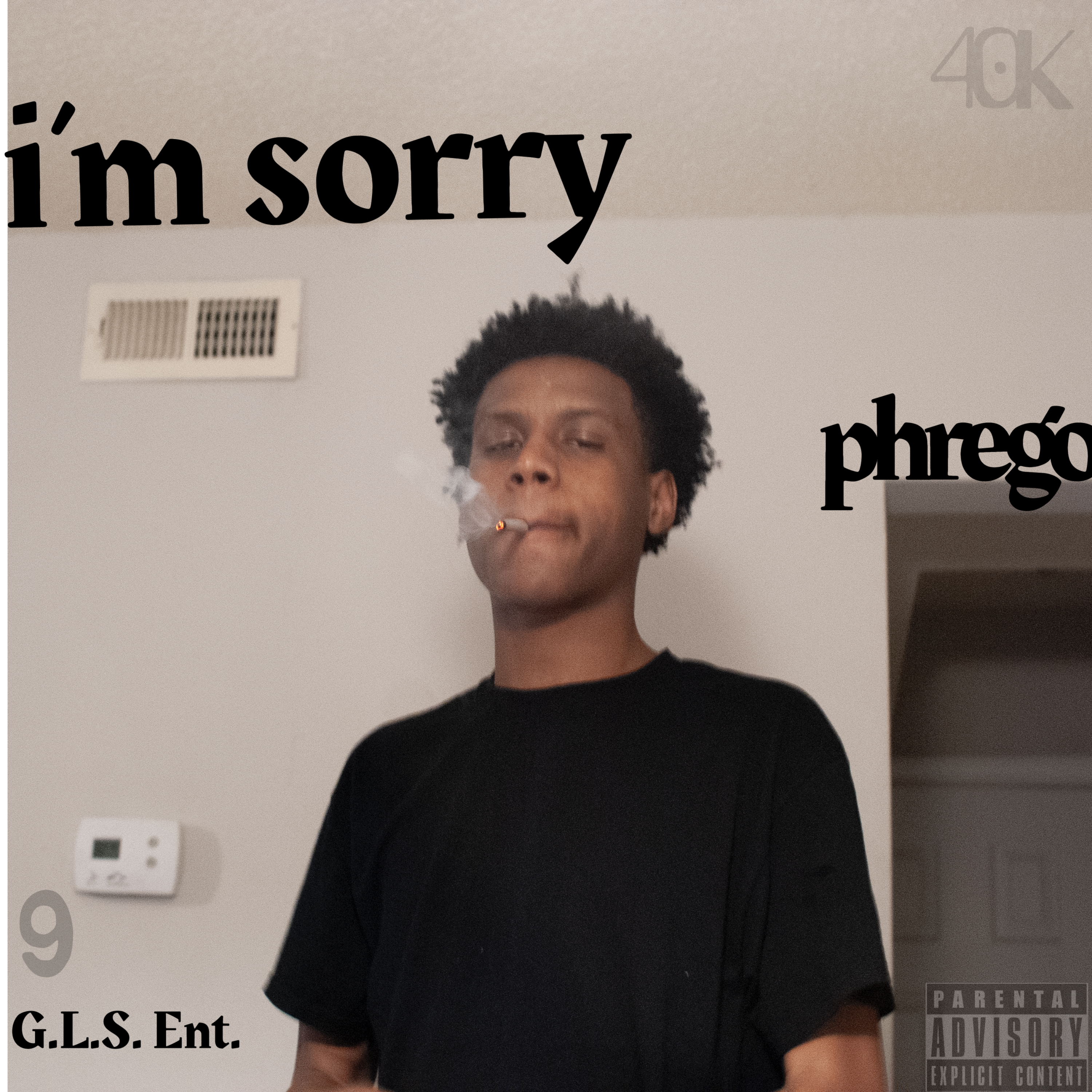 i'm sorry artwork