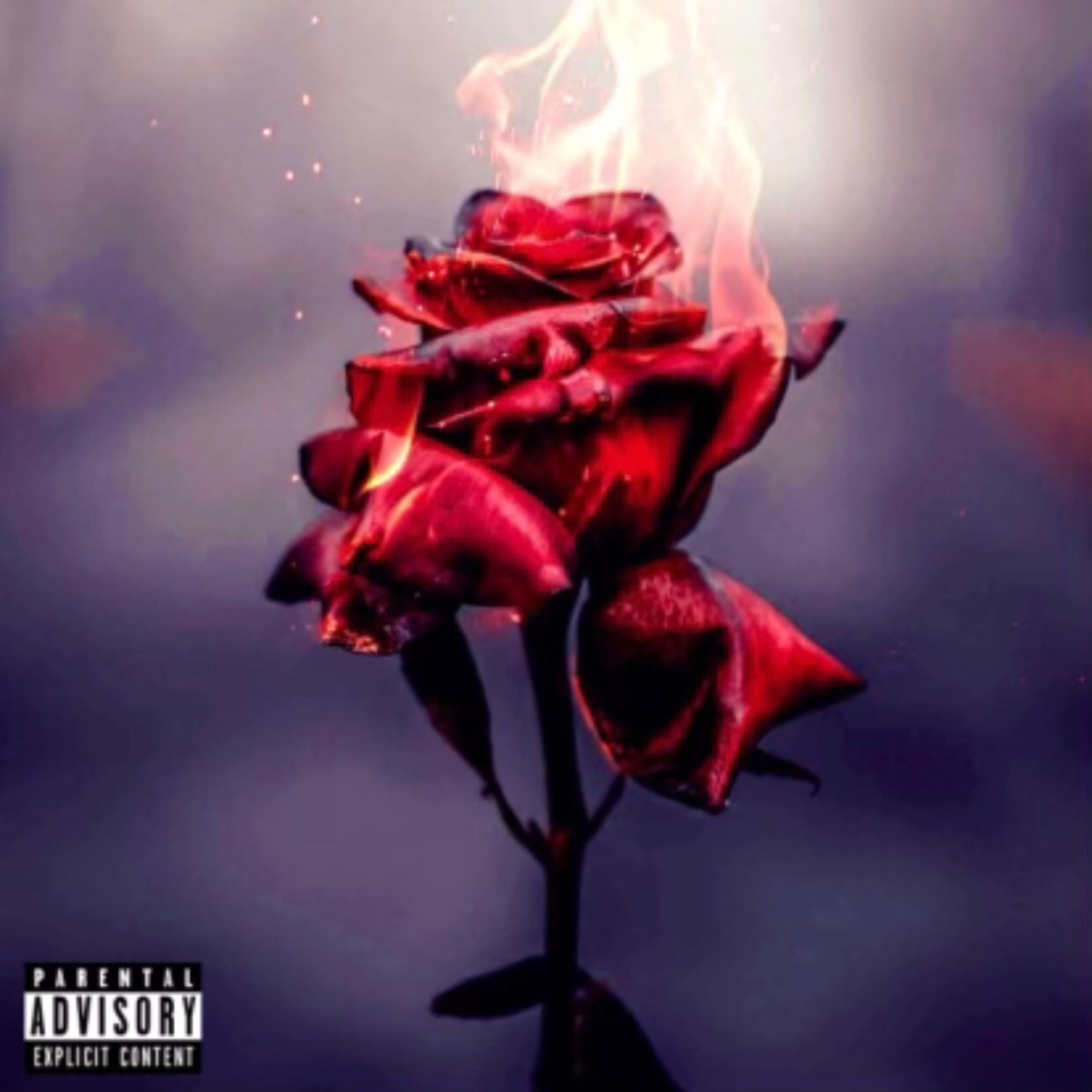 Red Roses artwork