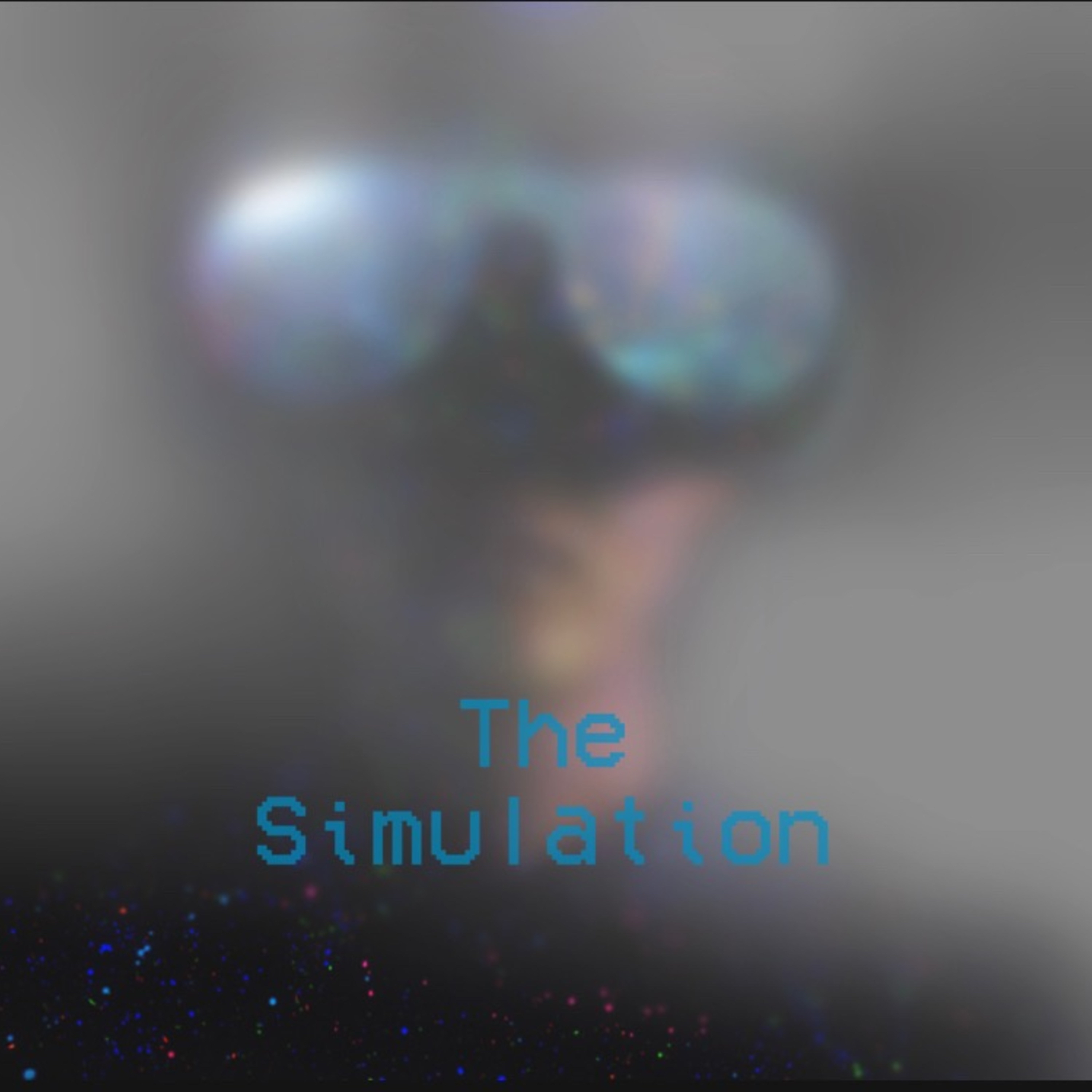 The Simulation artwork