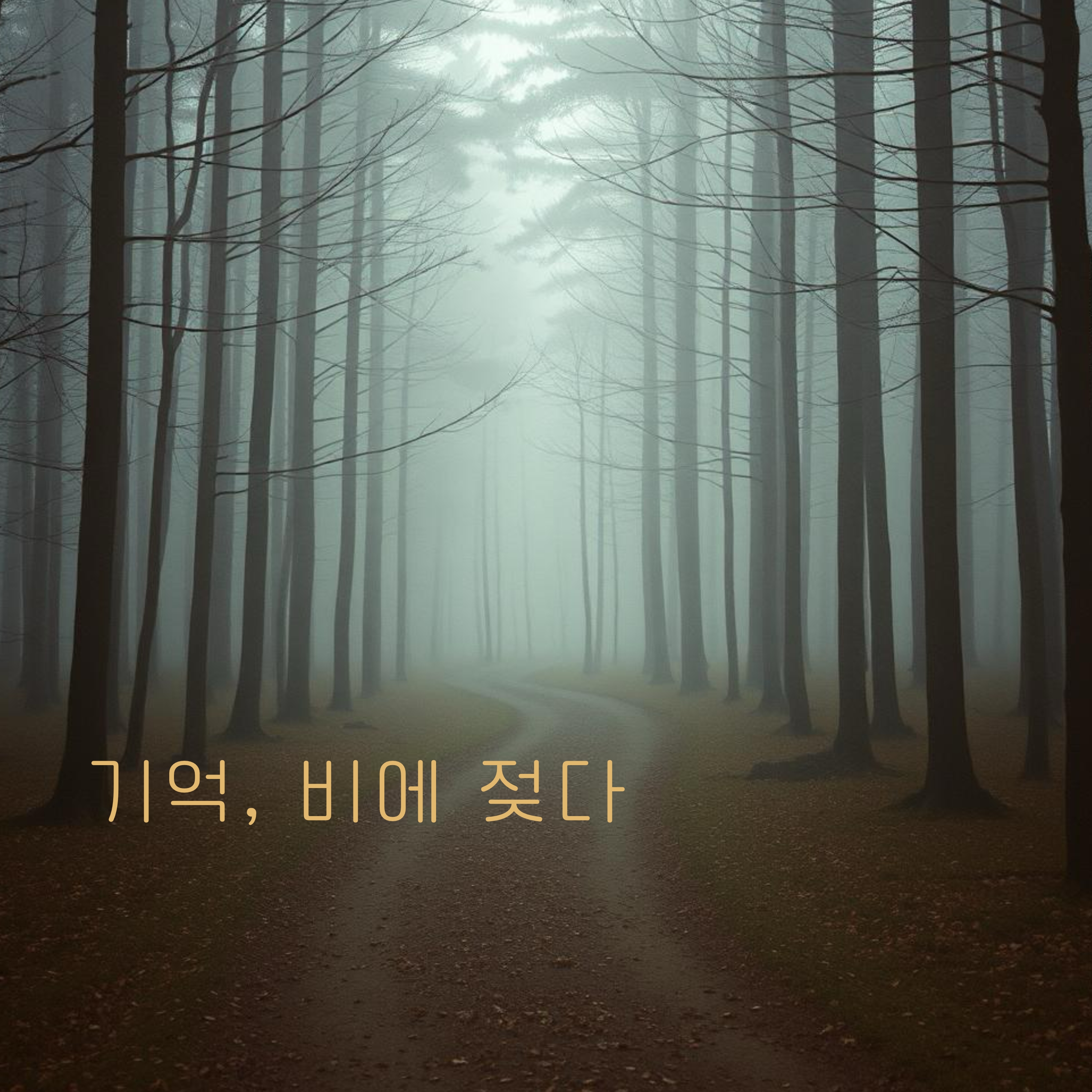 기억, 비에 젖다 artwork