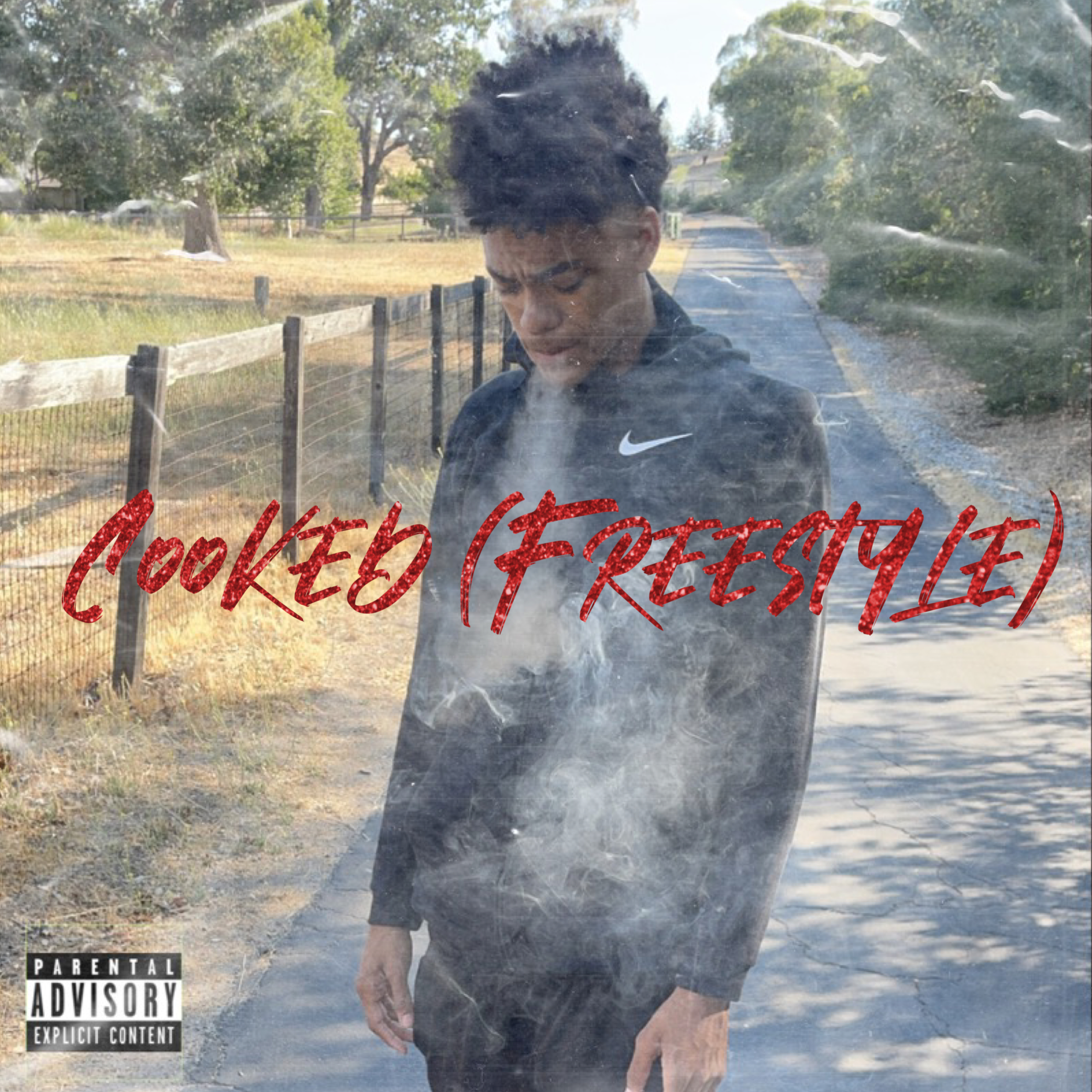 Cooked ( Freestyle ) artwork