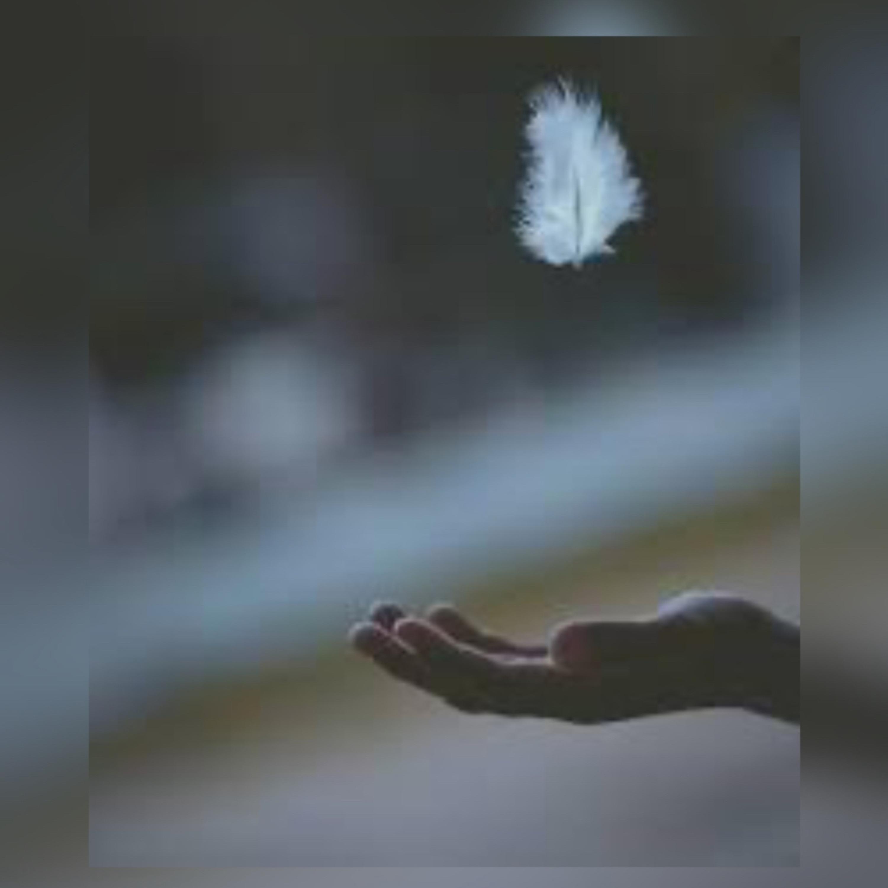 Peace Of Mine artwork