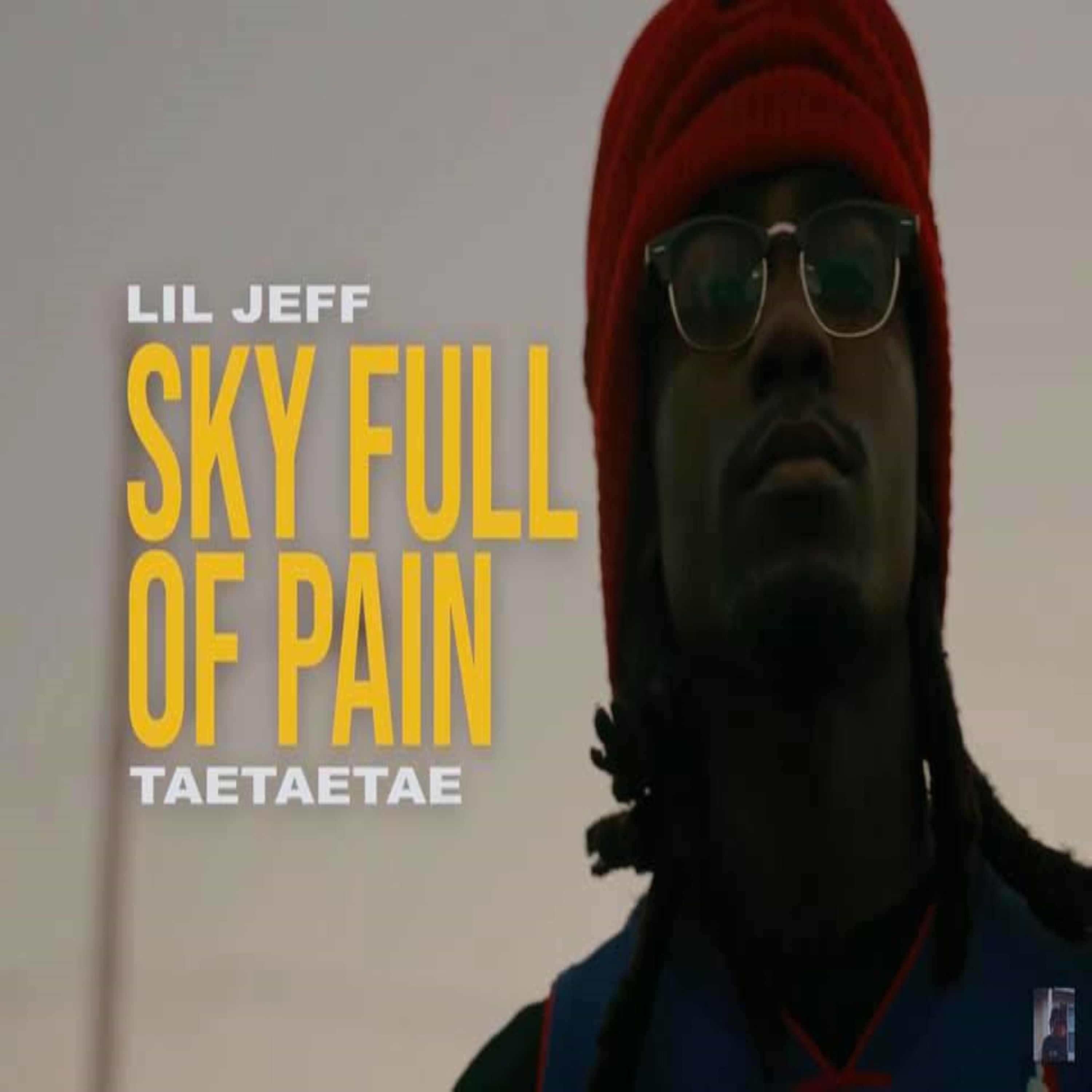 Skyfull Of Pain artwork