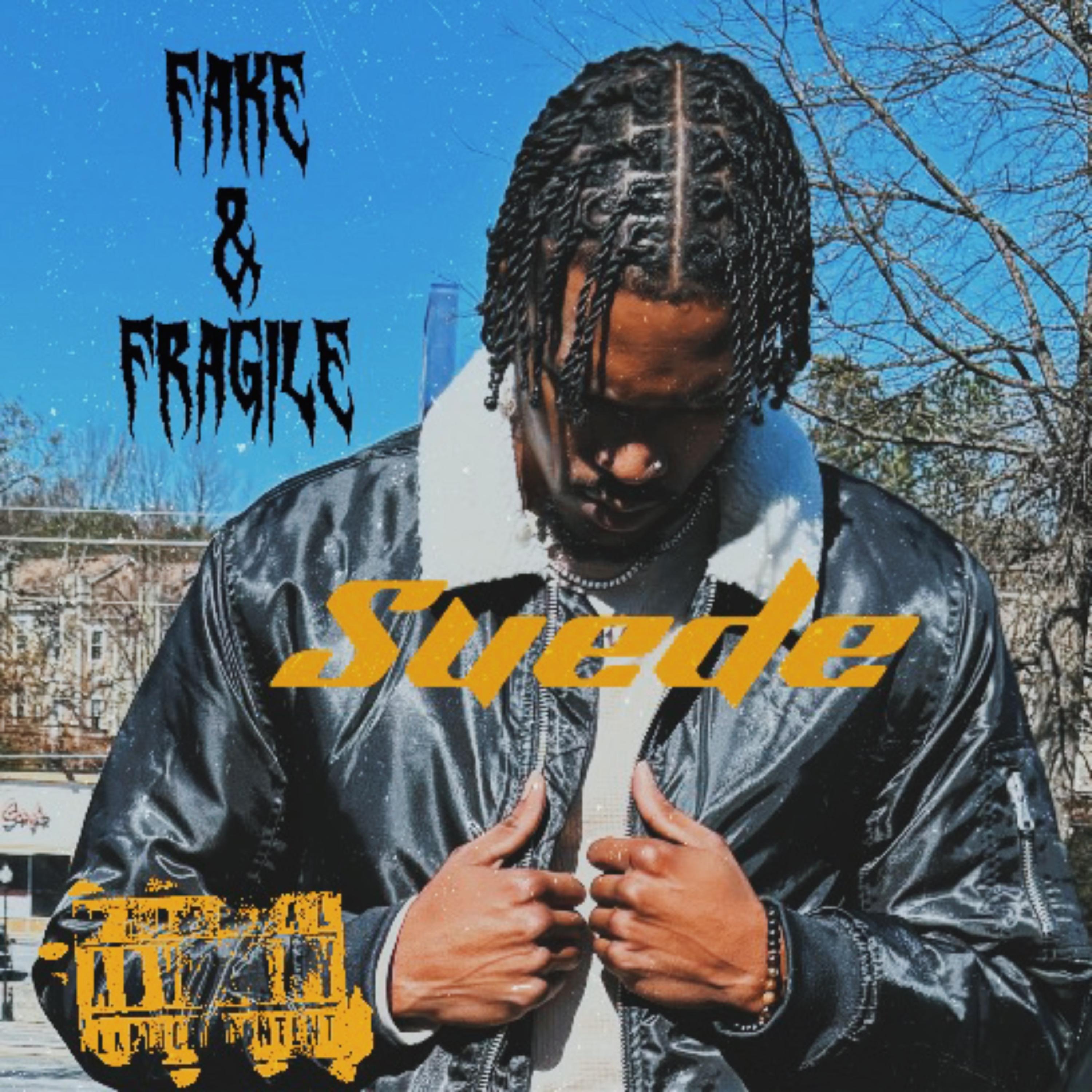 Fake & Fragile artwork