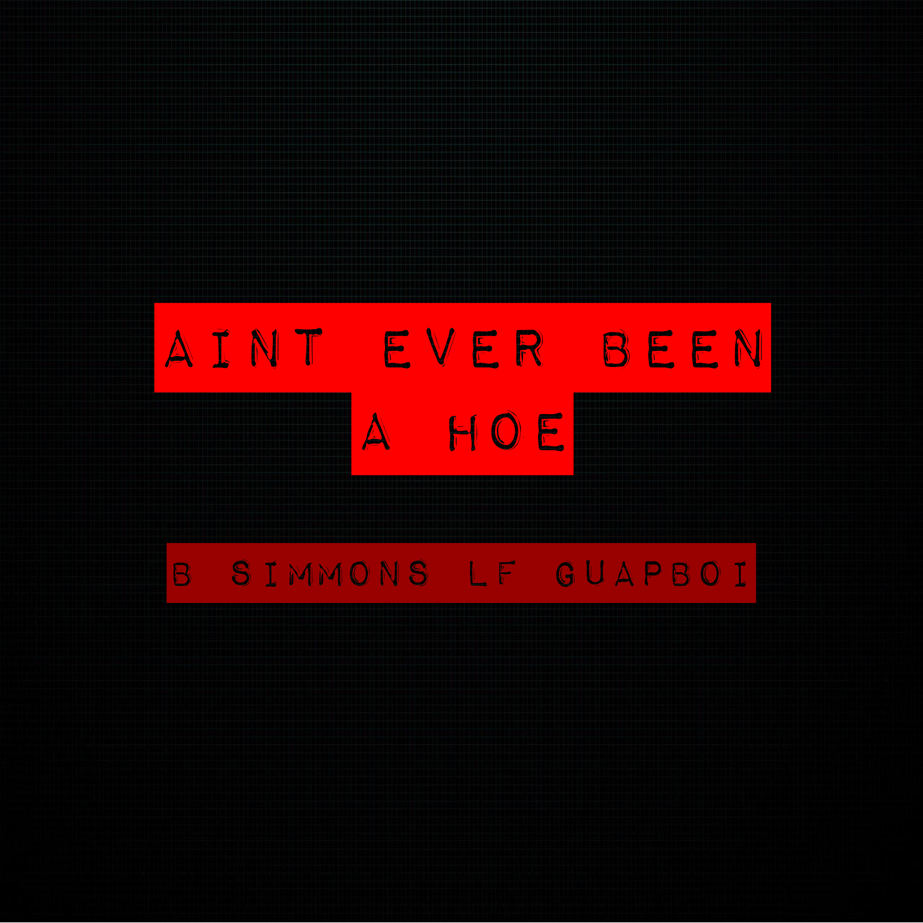 aint ever been a hoe artwork
