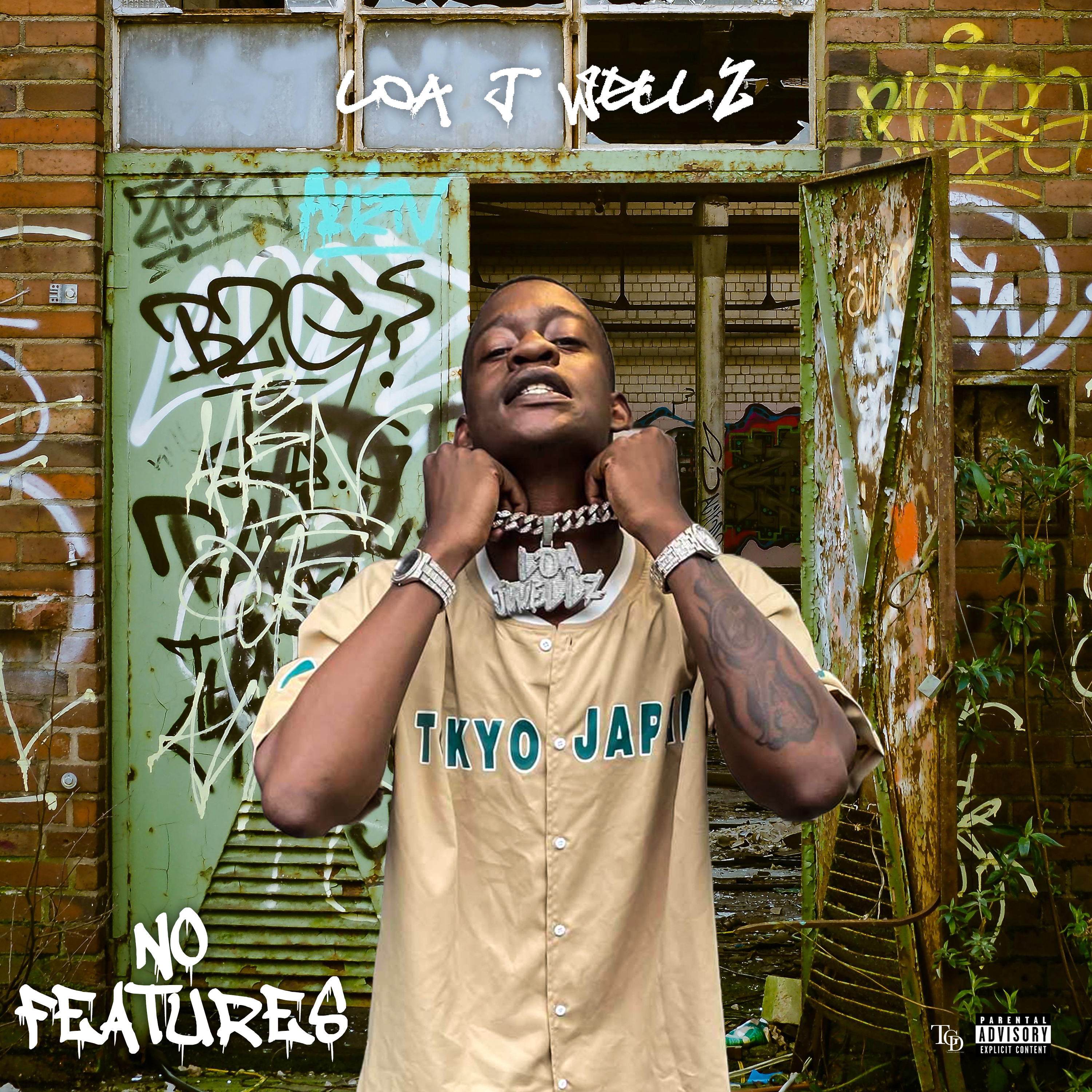 NO FEATURES artwork