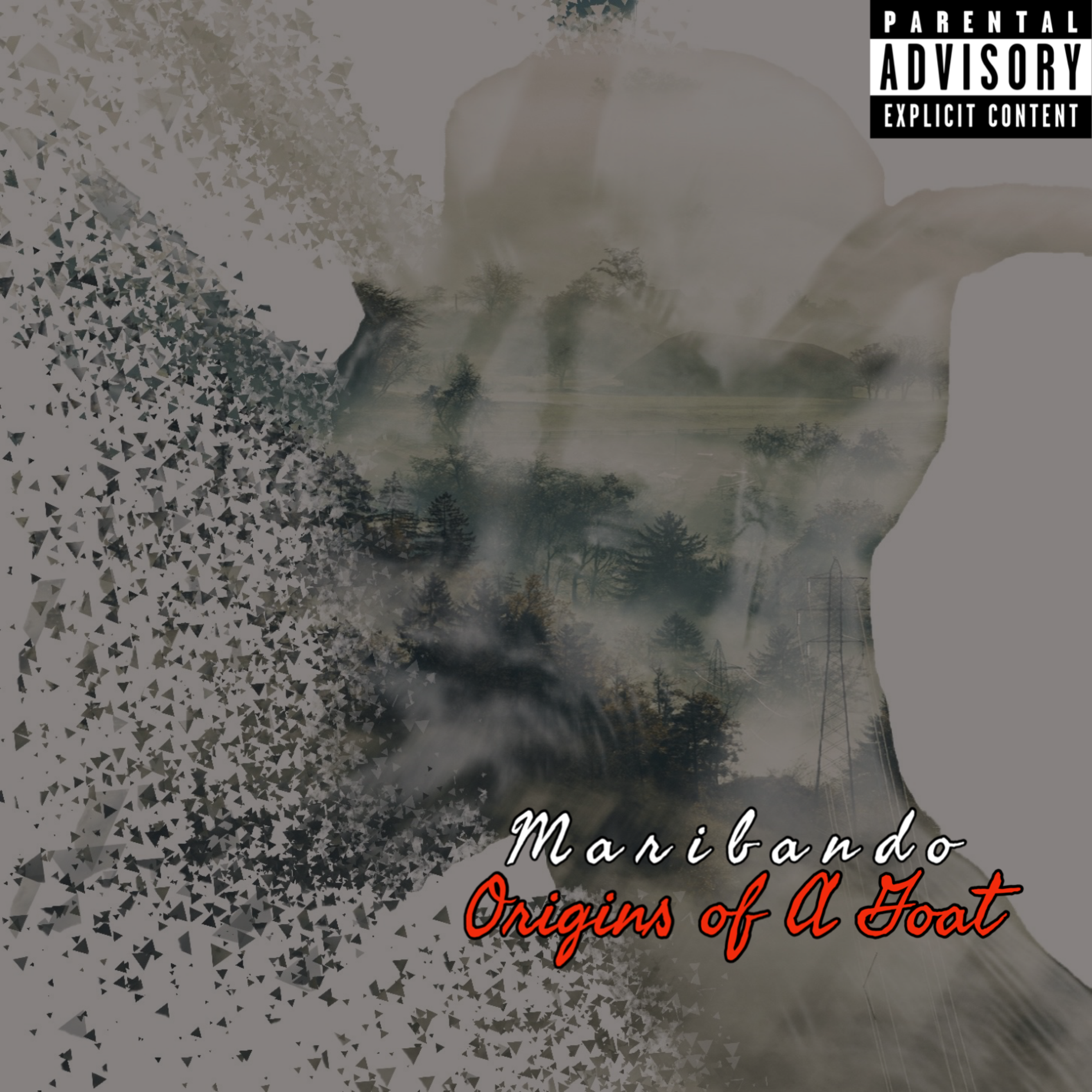 Origins Of A Goat artwork