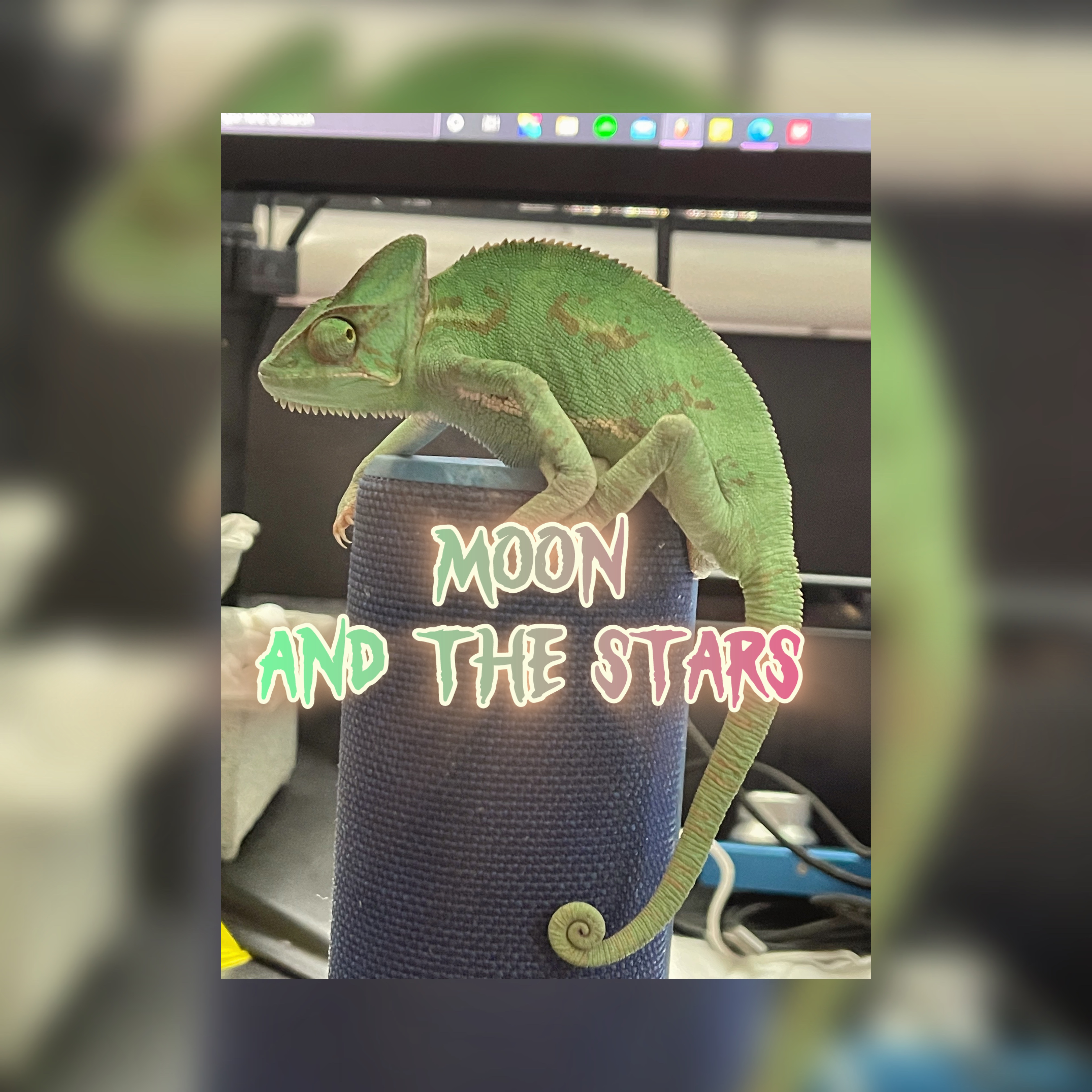 Moon And The Stars artwork
