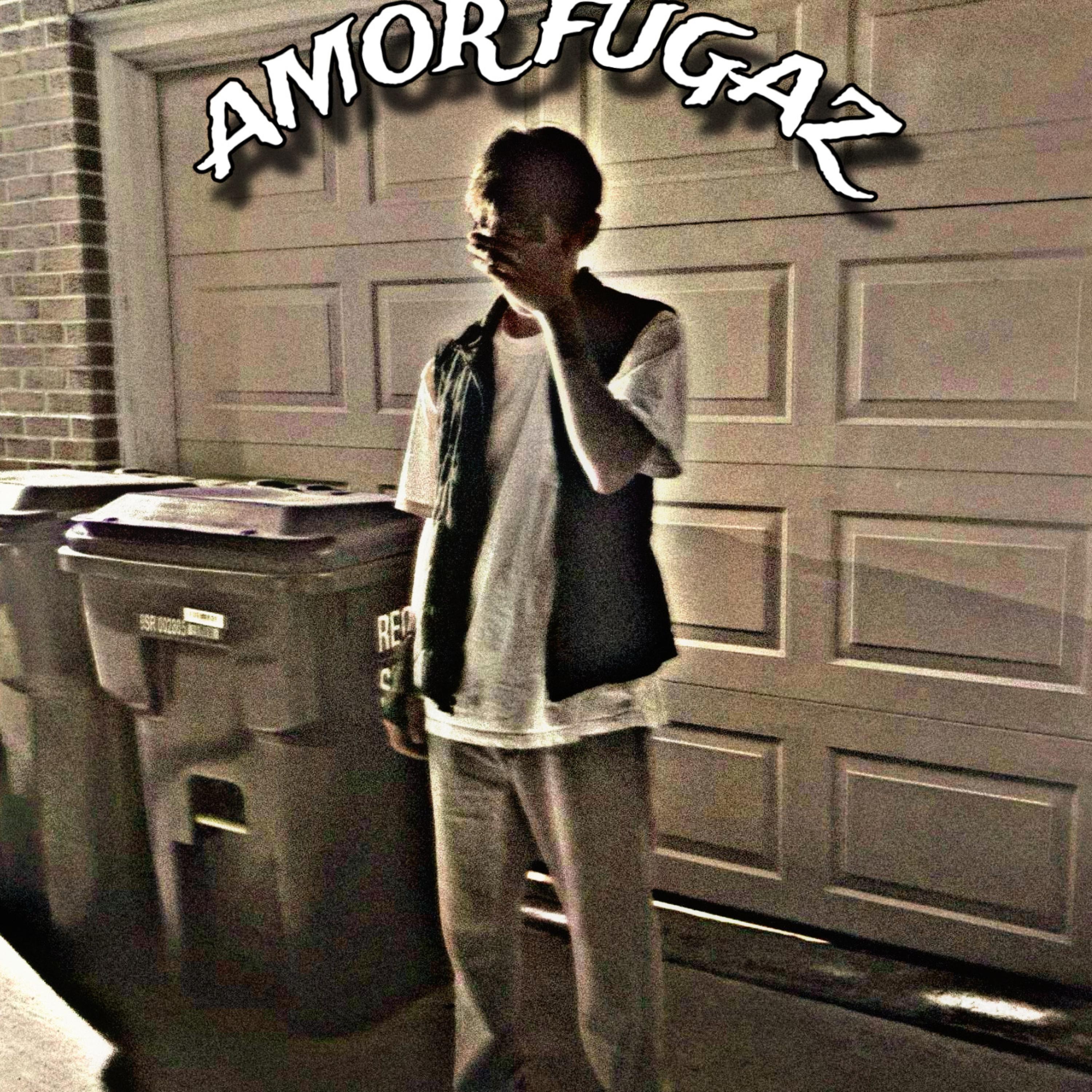 AMOR FUGAZ artwork